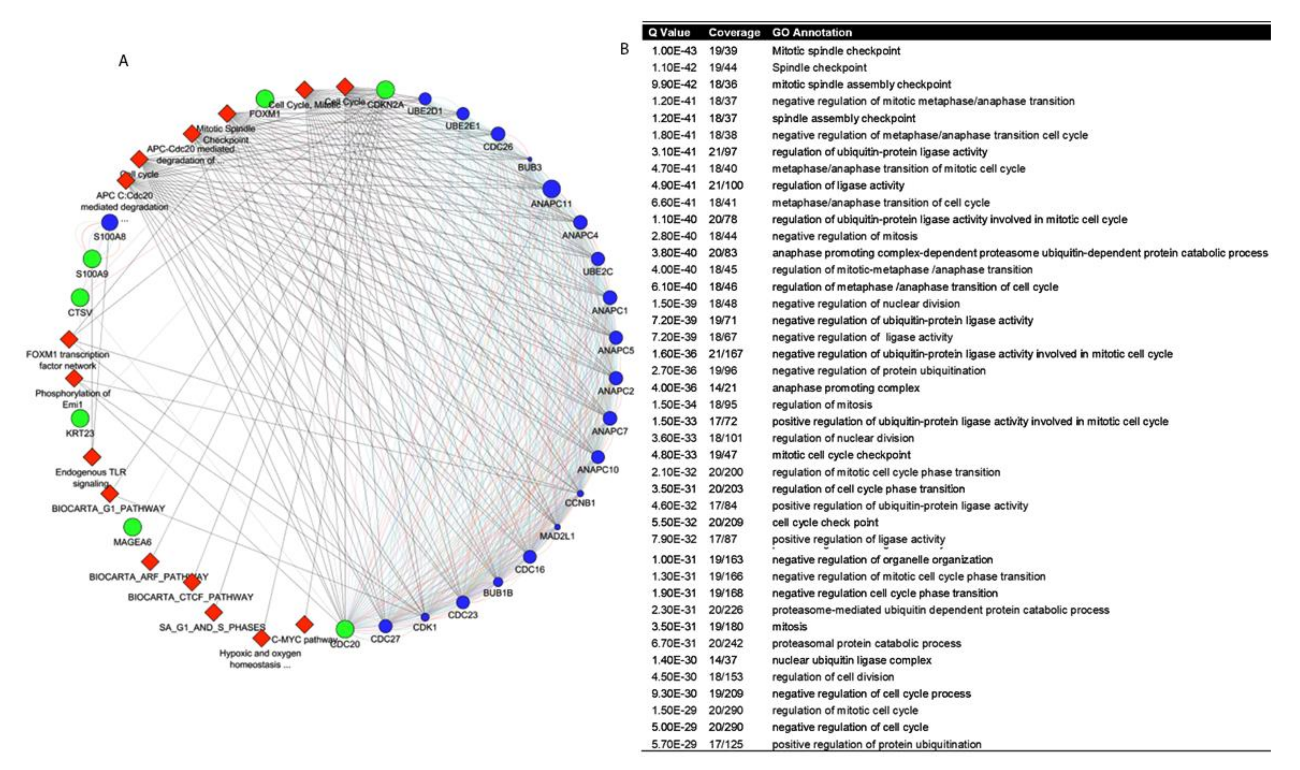 Cancers 13 05931 g004