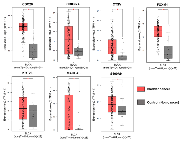 Cancers 13 05931 g005