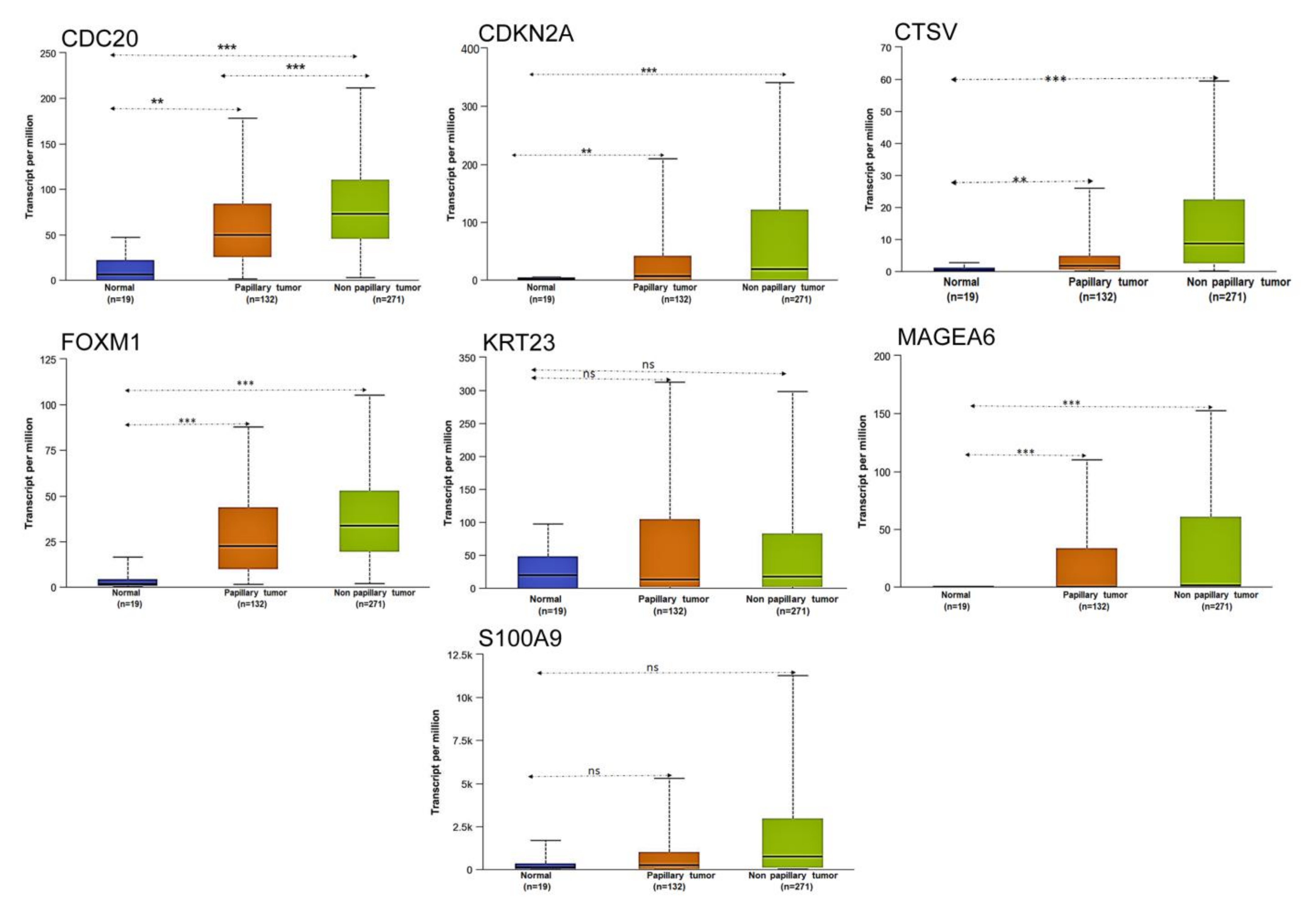 Cancers 13 05931 g007