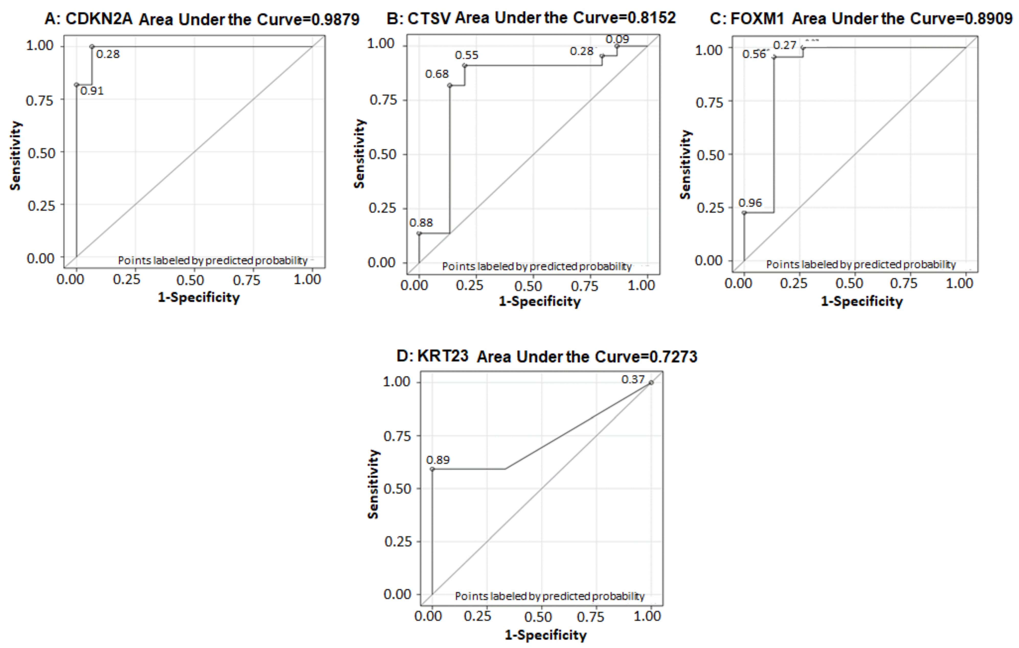 Cancers 13 05931 g010