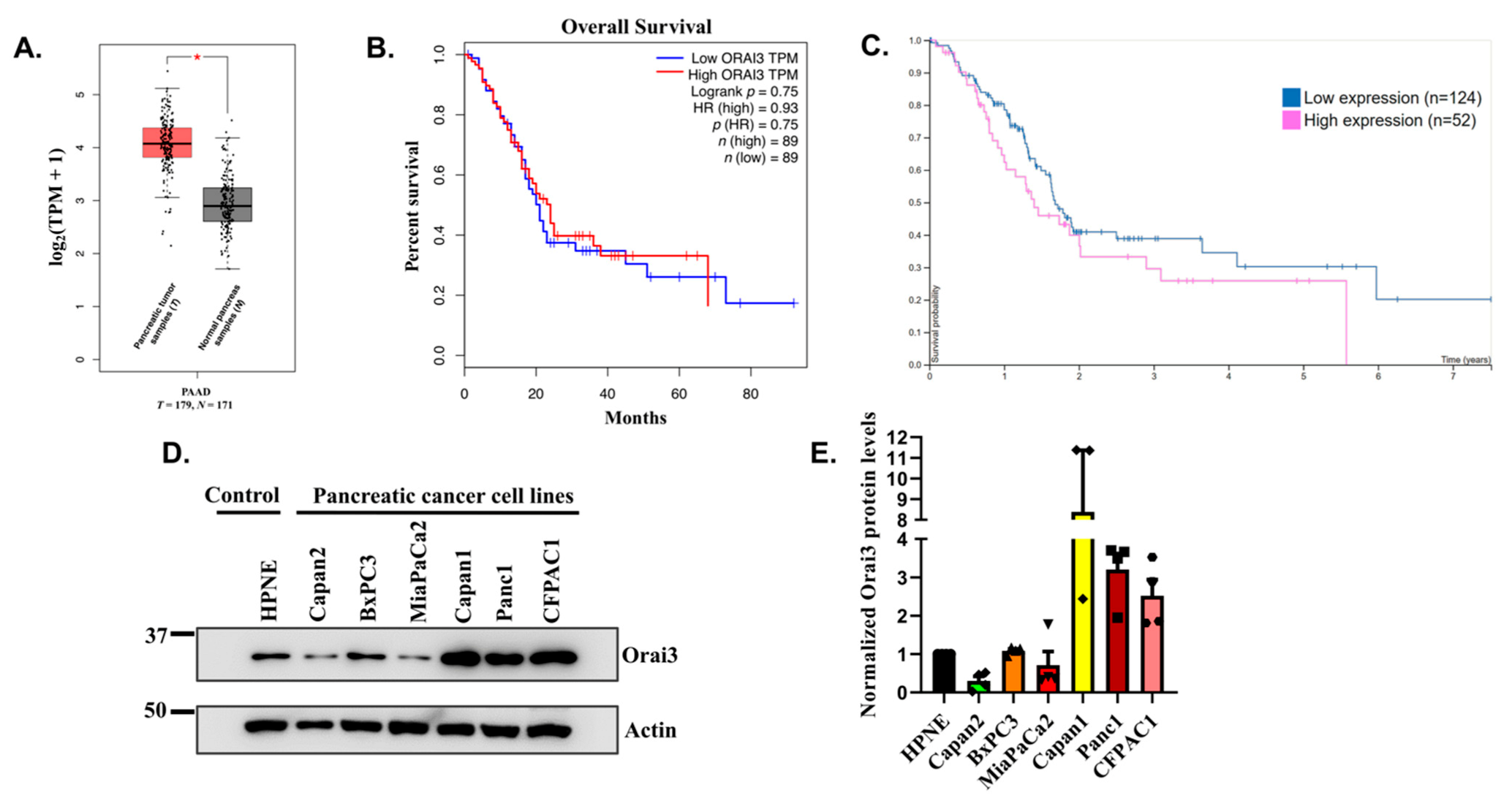 Cancers 13 05937 g001