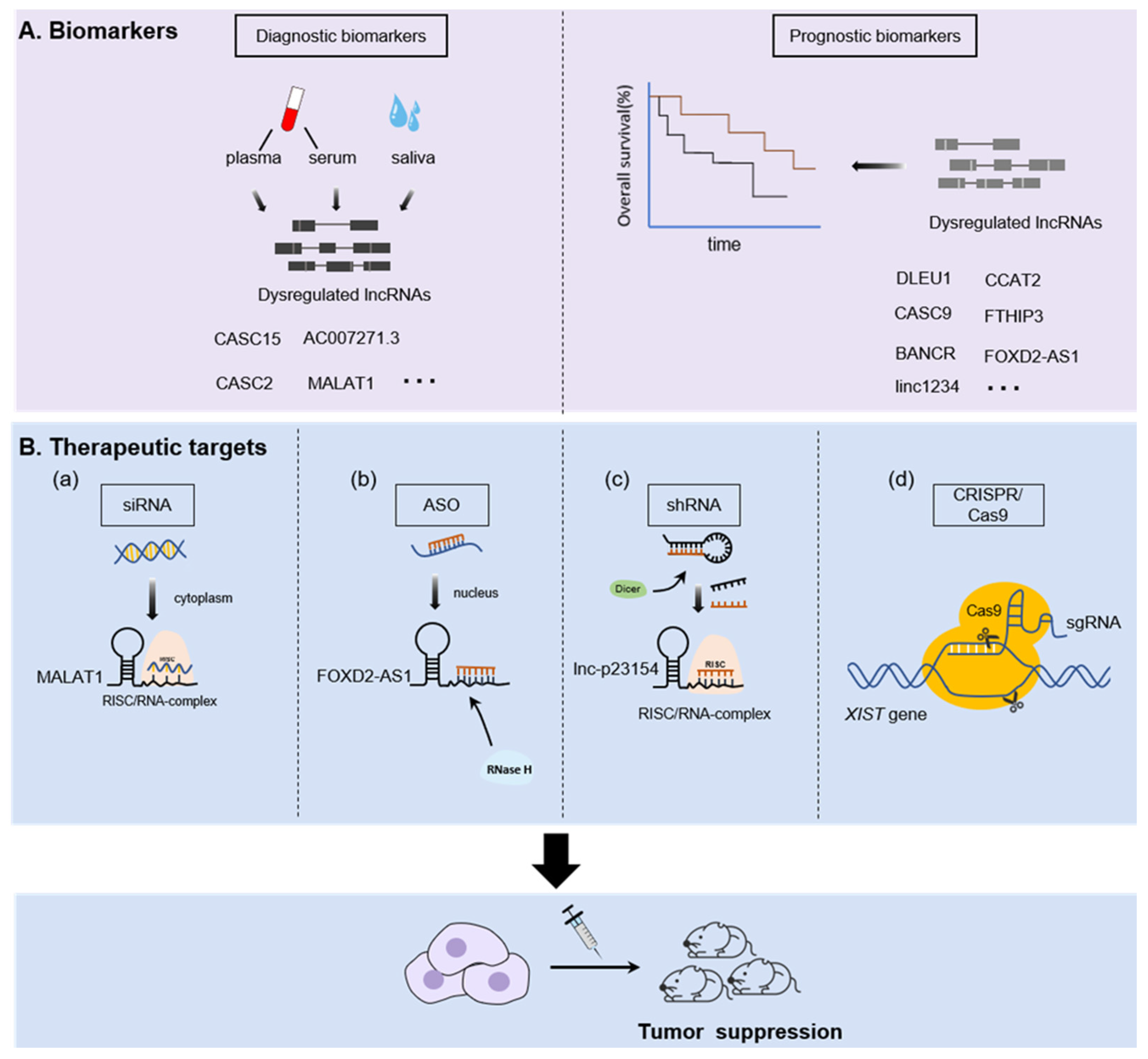 Cancers 13 05944 g003