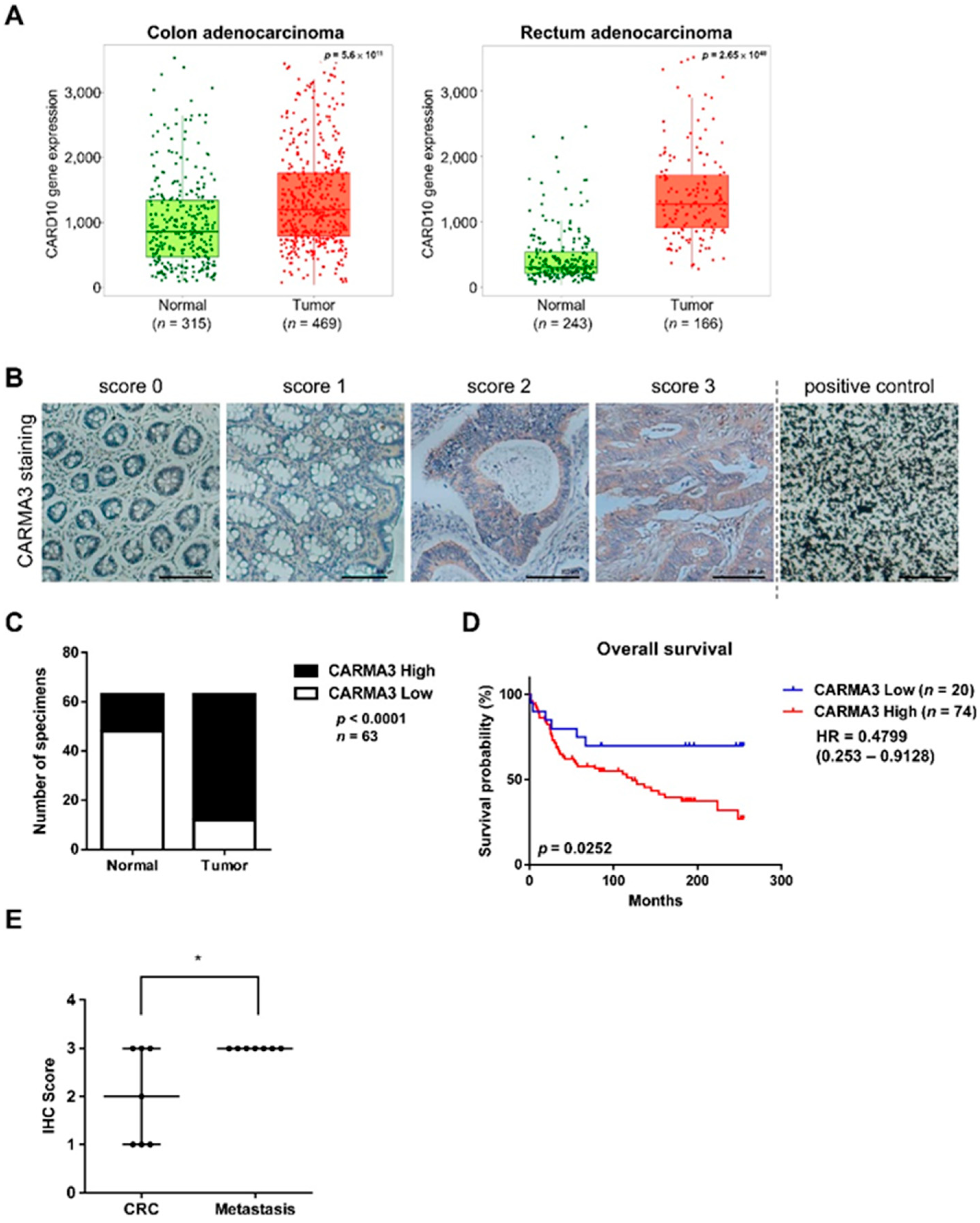 Cancers 13 05946 g001