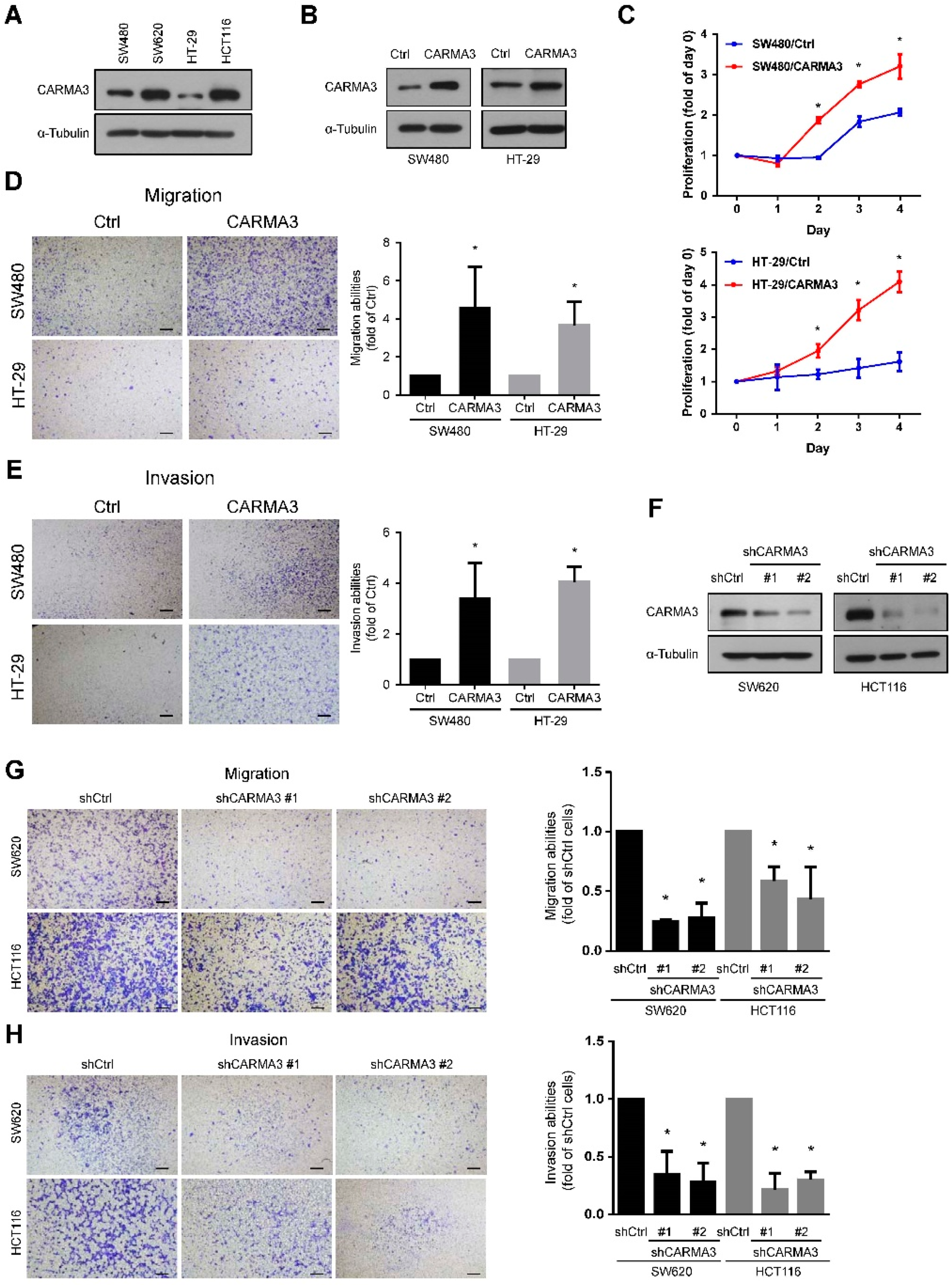 Cancers 13 05946 g002