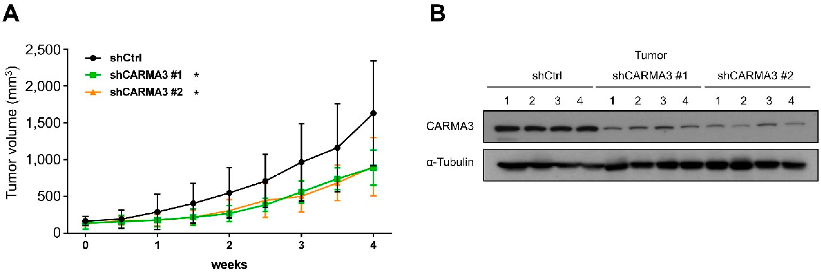 Cancers 13 05946 g003