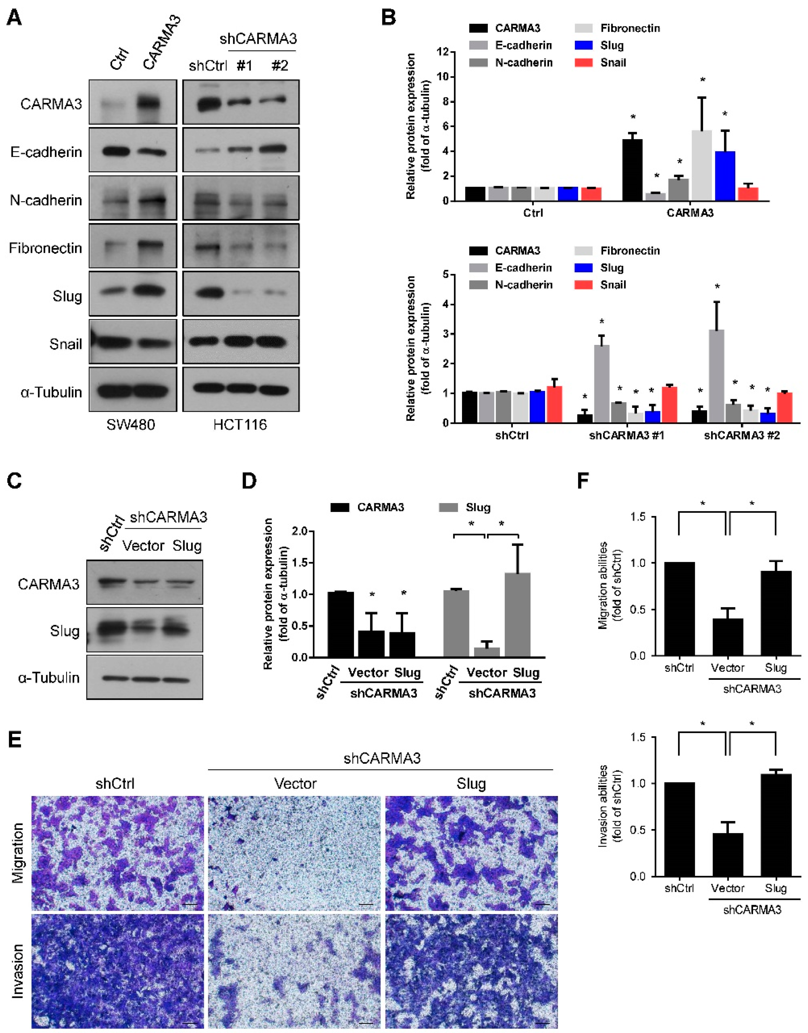 Cancers 13 05946 g005