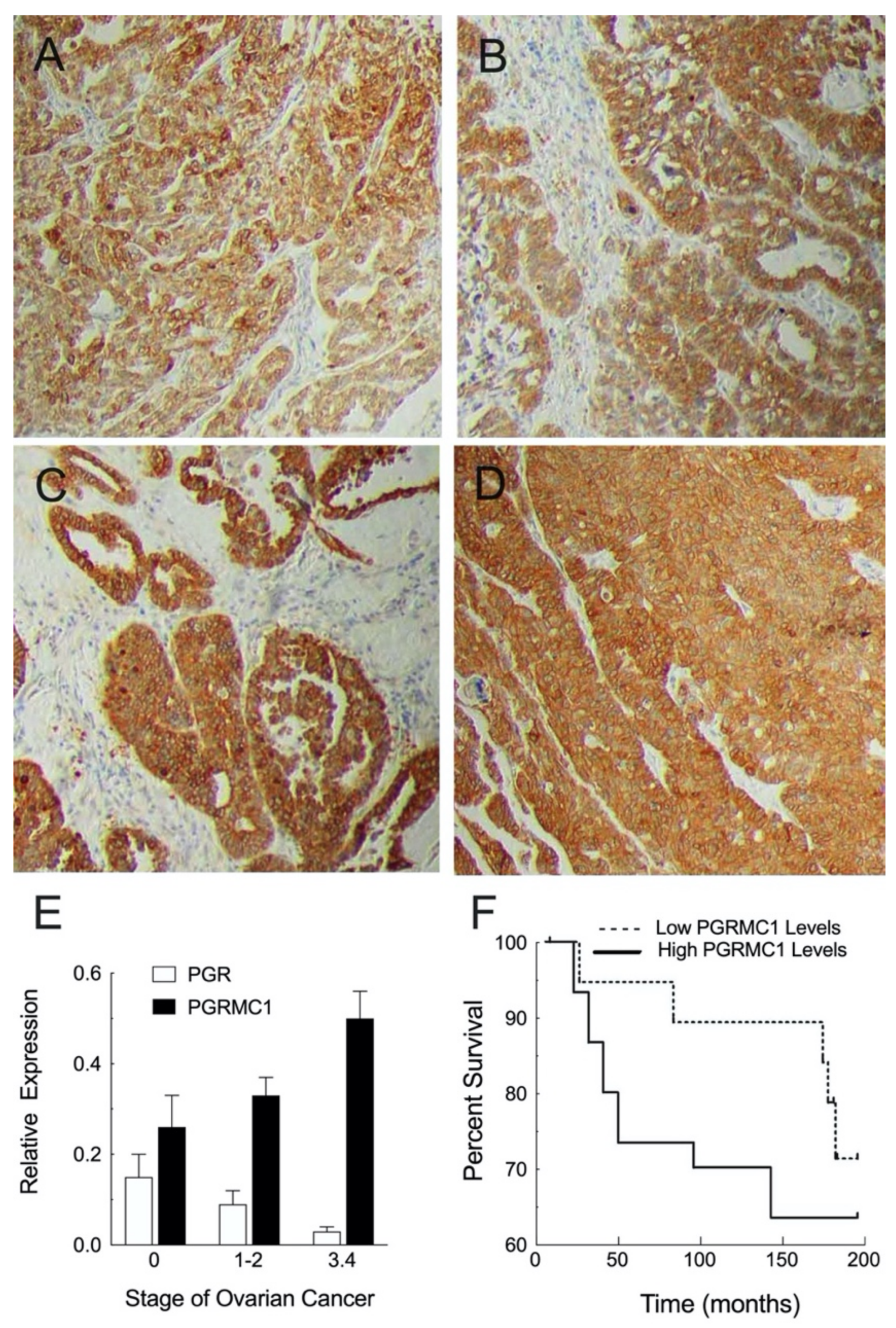 Cancers 13 05953 g001 Cancers 13 05953 g001