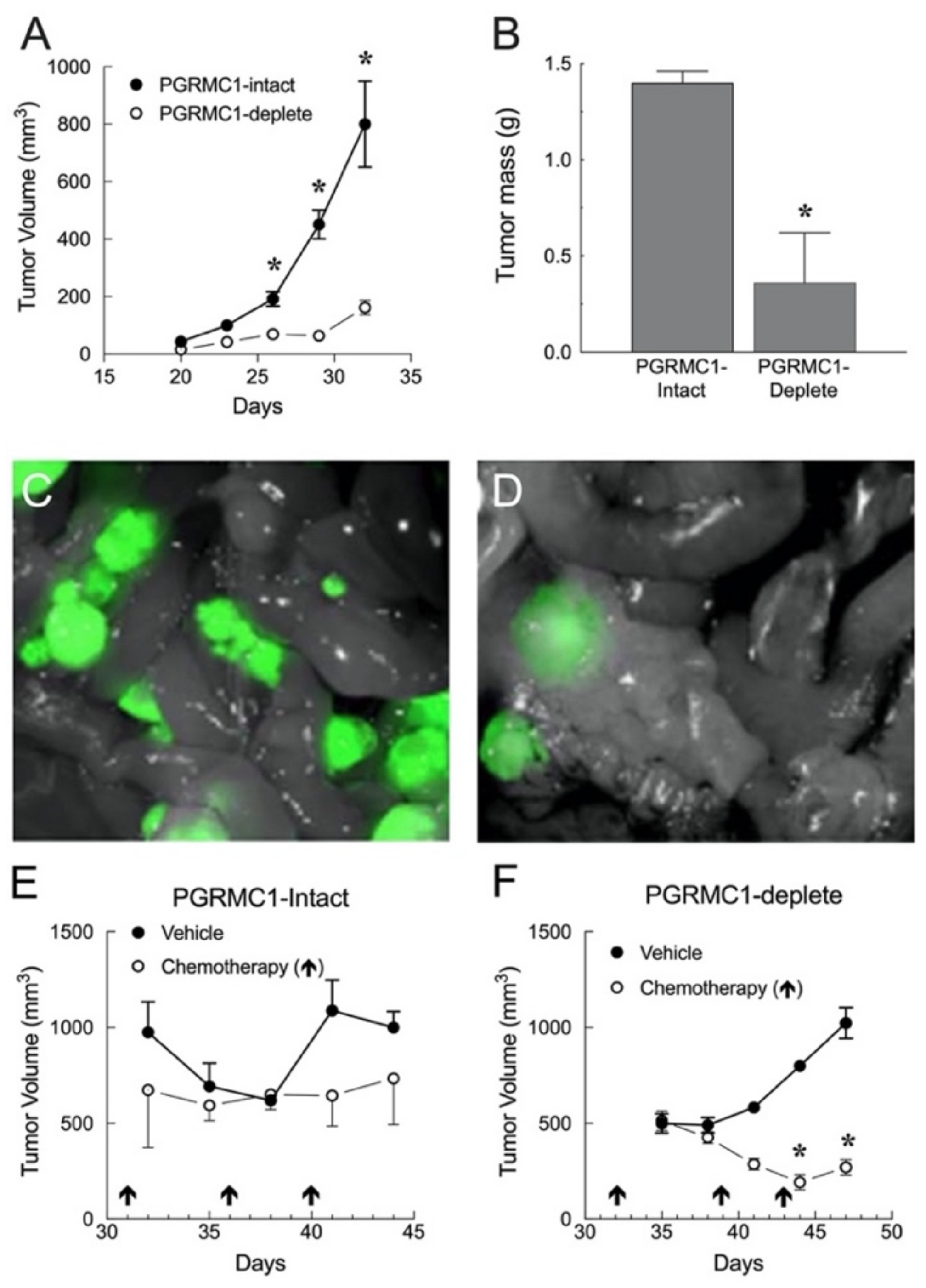 Cancers 13 05953 g004 Cancers 13 05953 g004