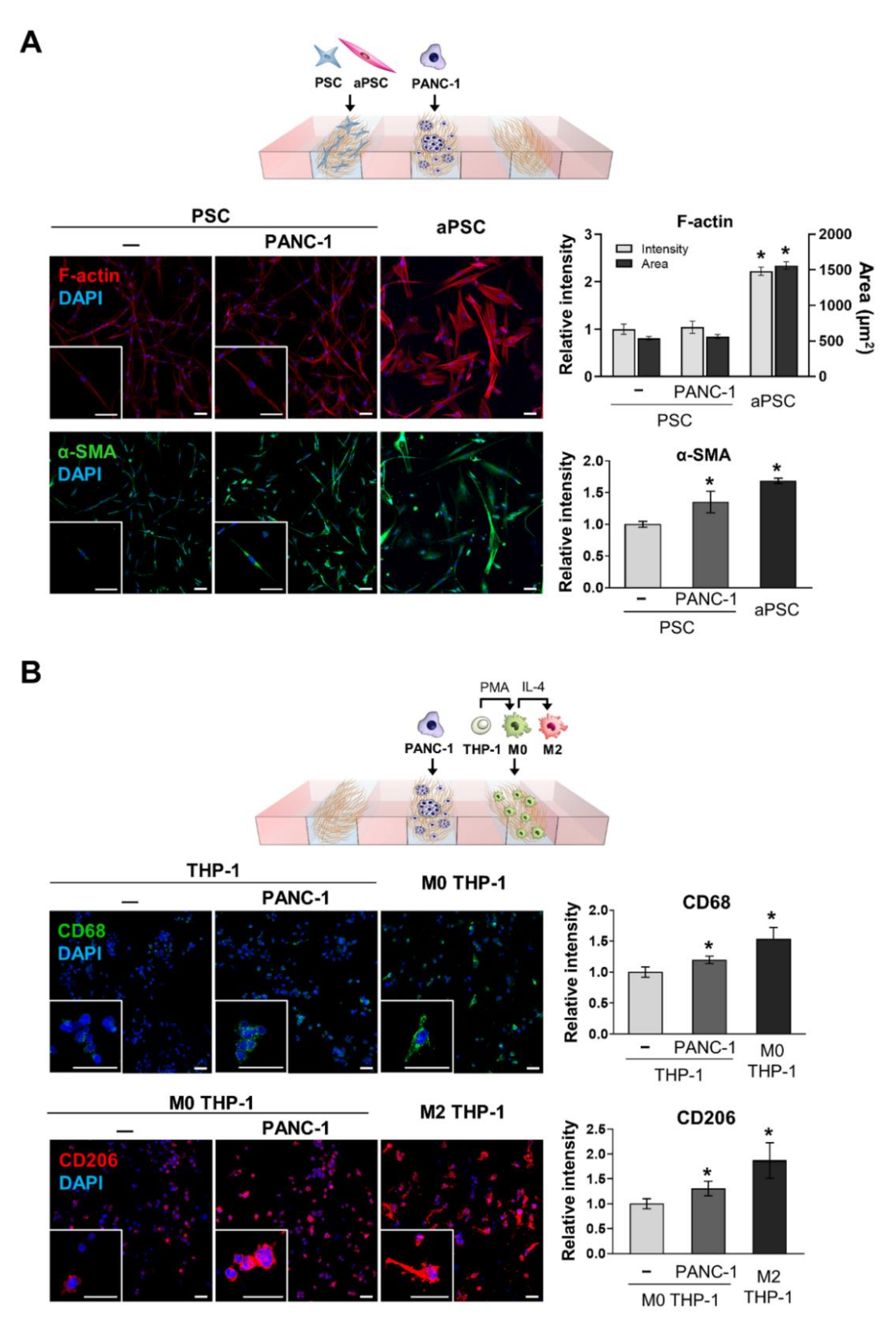Cancers 13 05955 g002
