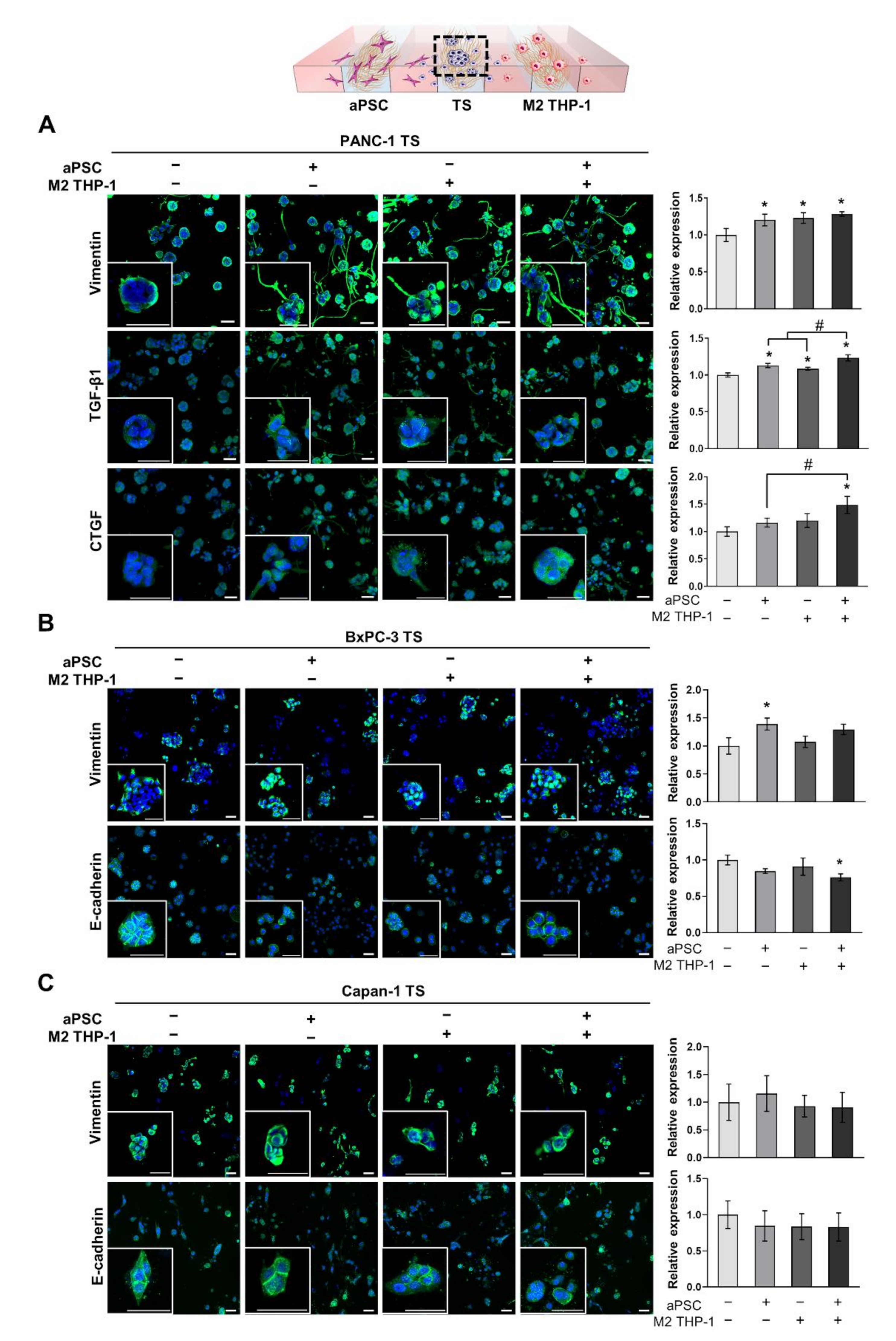 Cancers 13 05955 g003