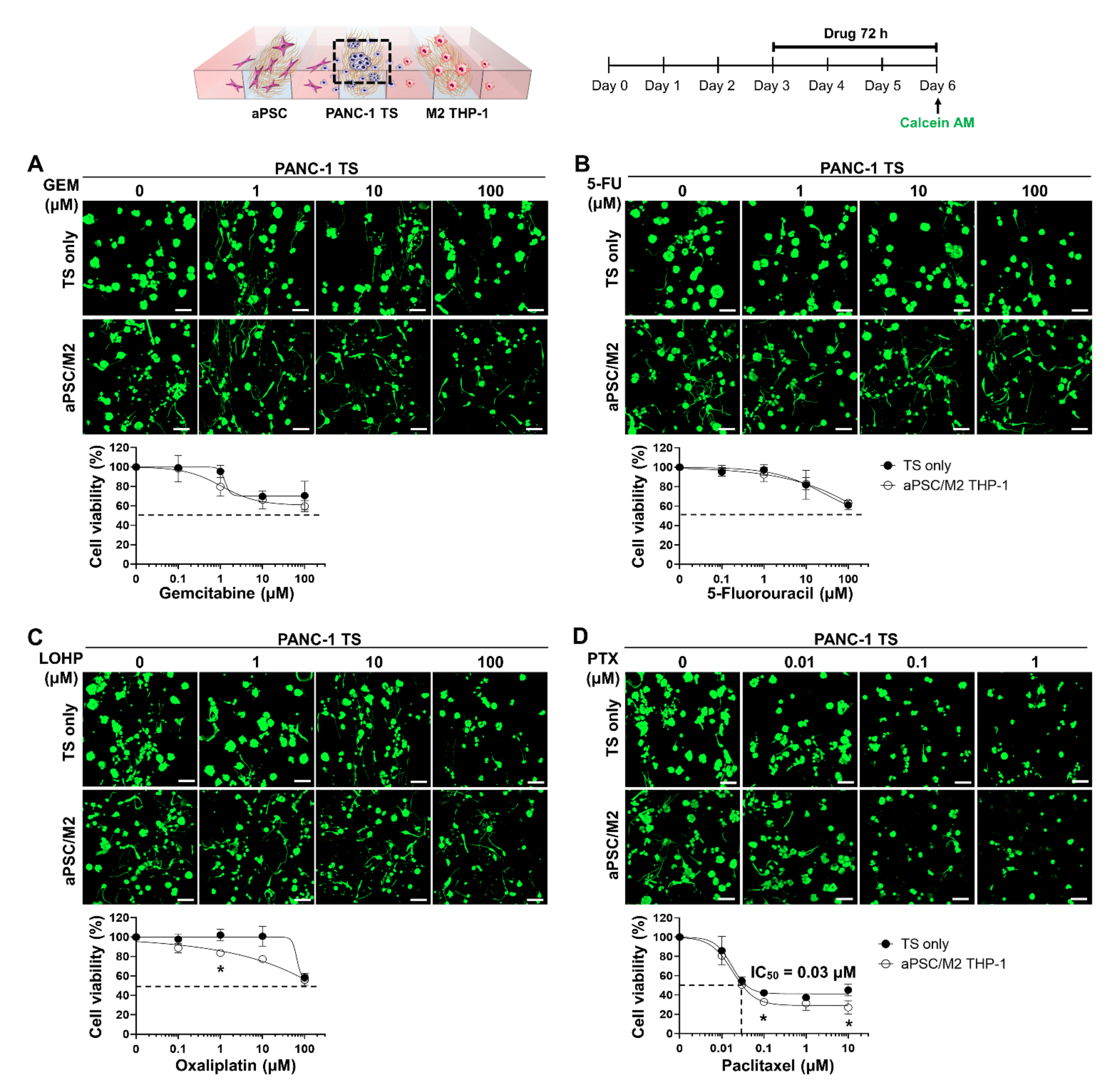 Cancers 13 05955 g005