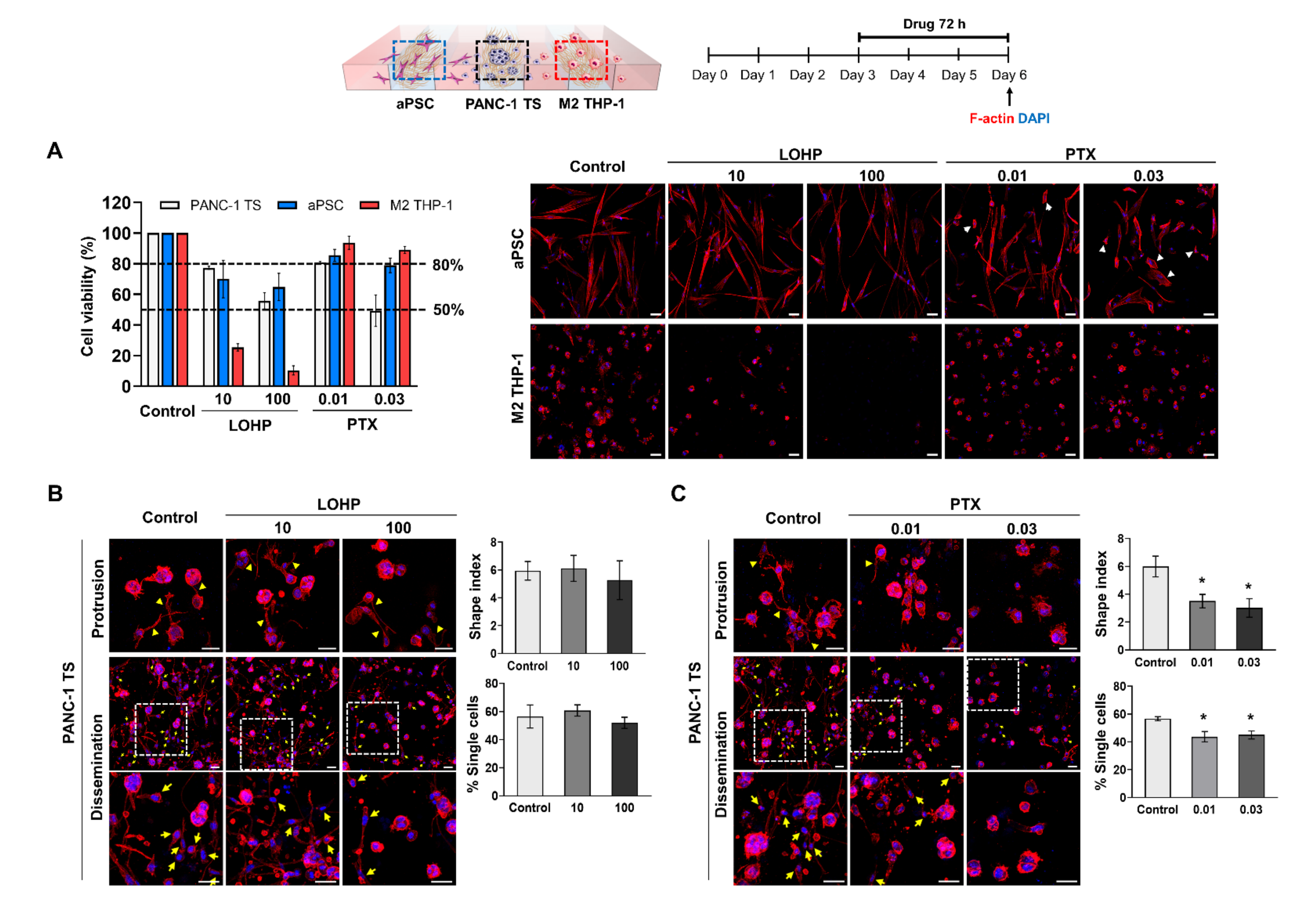 Cancers 13 05955 g007