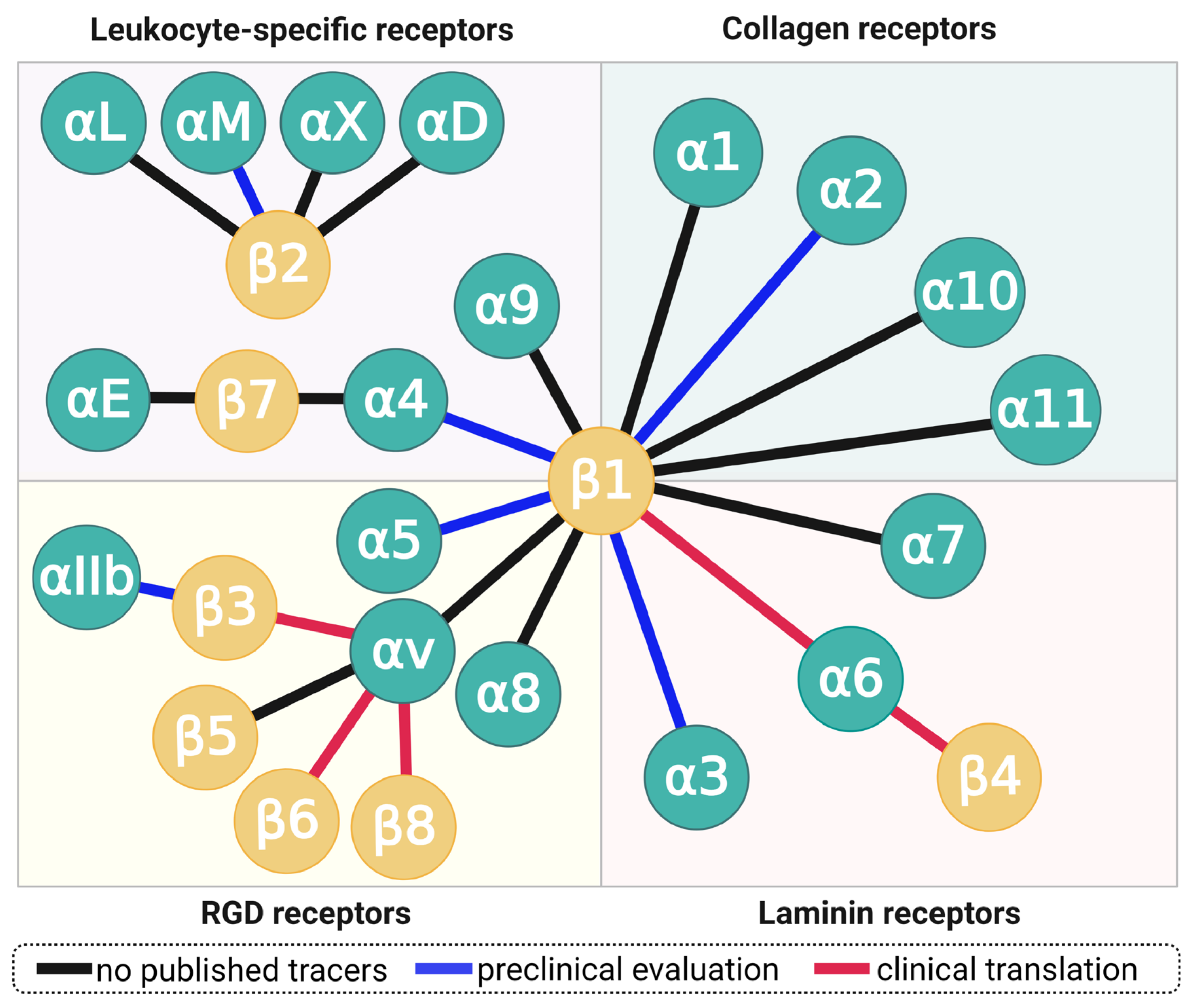 Cancers 13 05958 g002