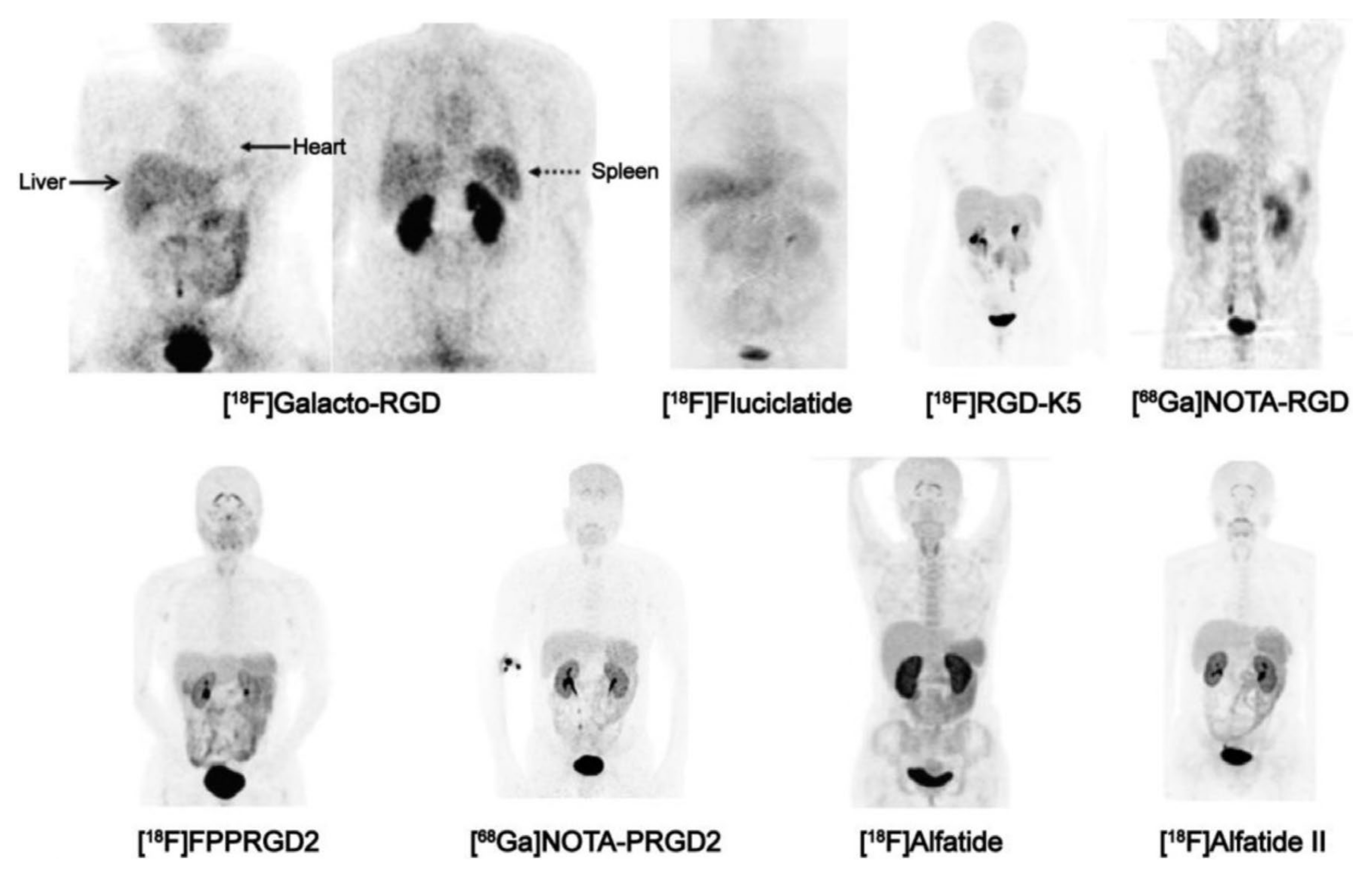 Cancers 13 05958 g003