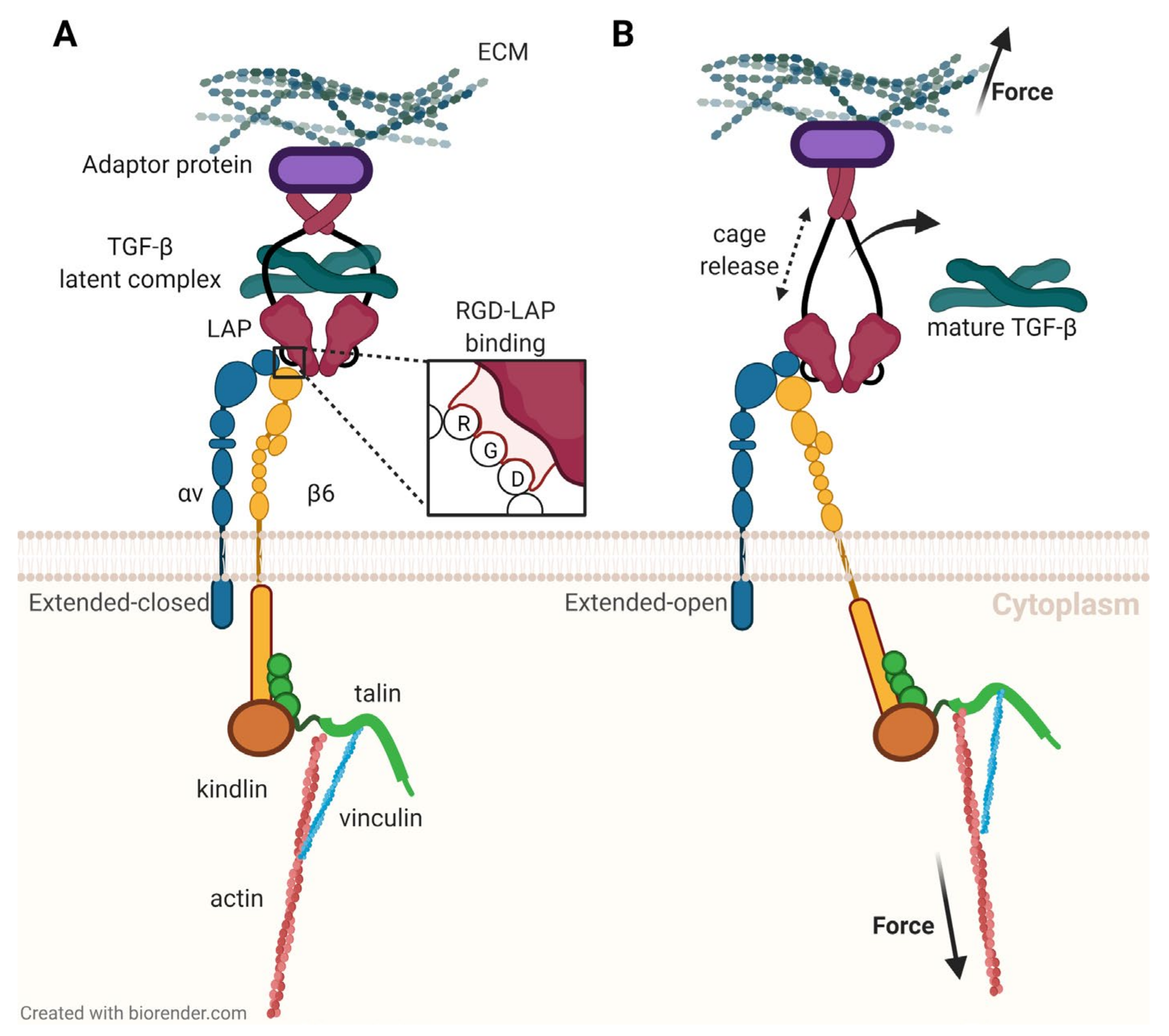 Cancers 13 05958 g004