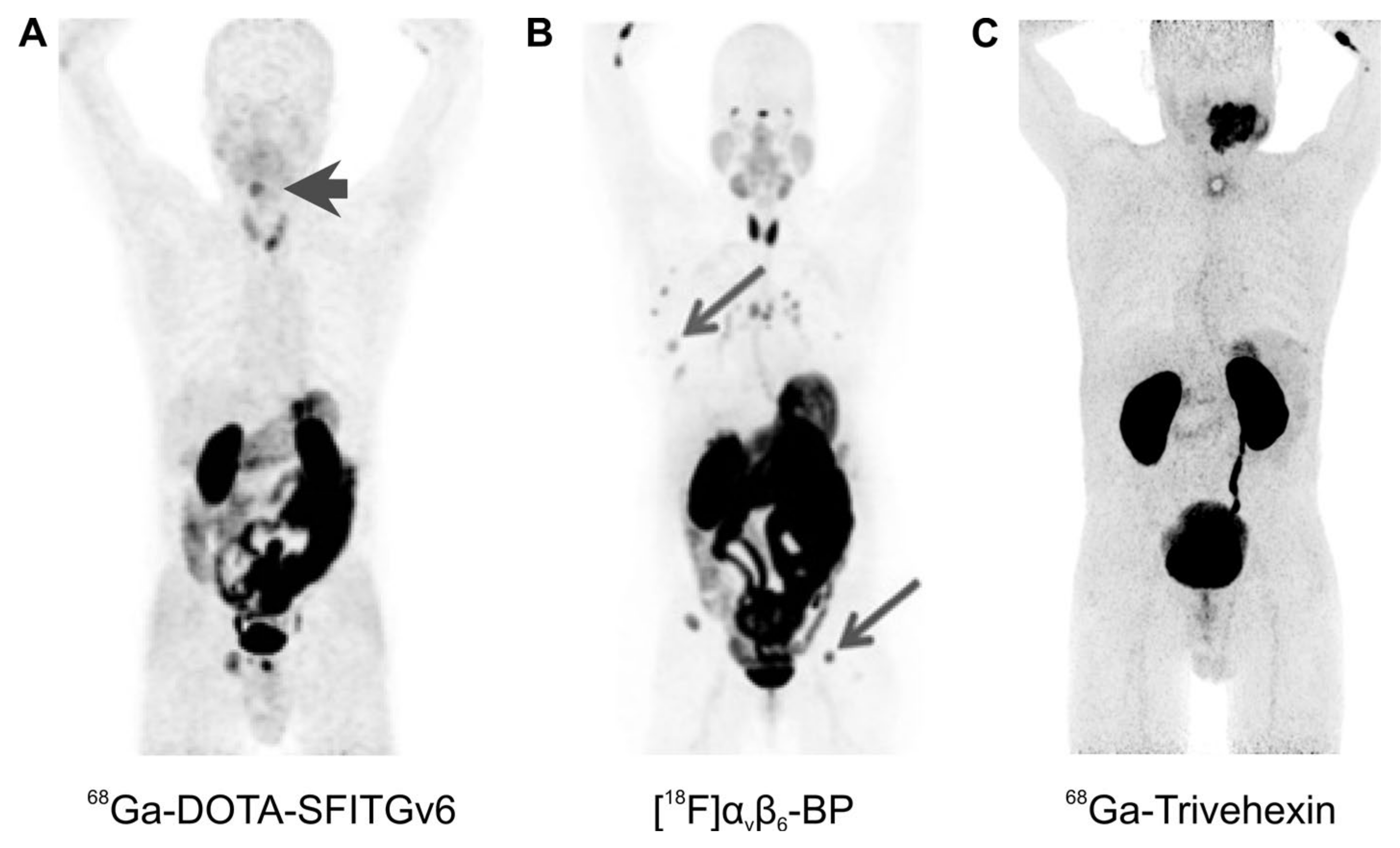 Cancers 13 05958 g005