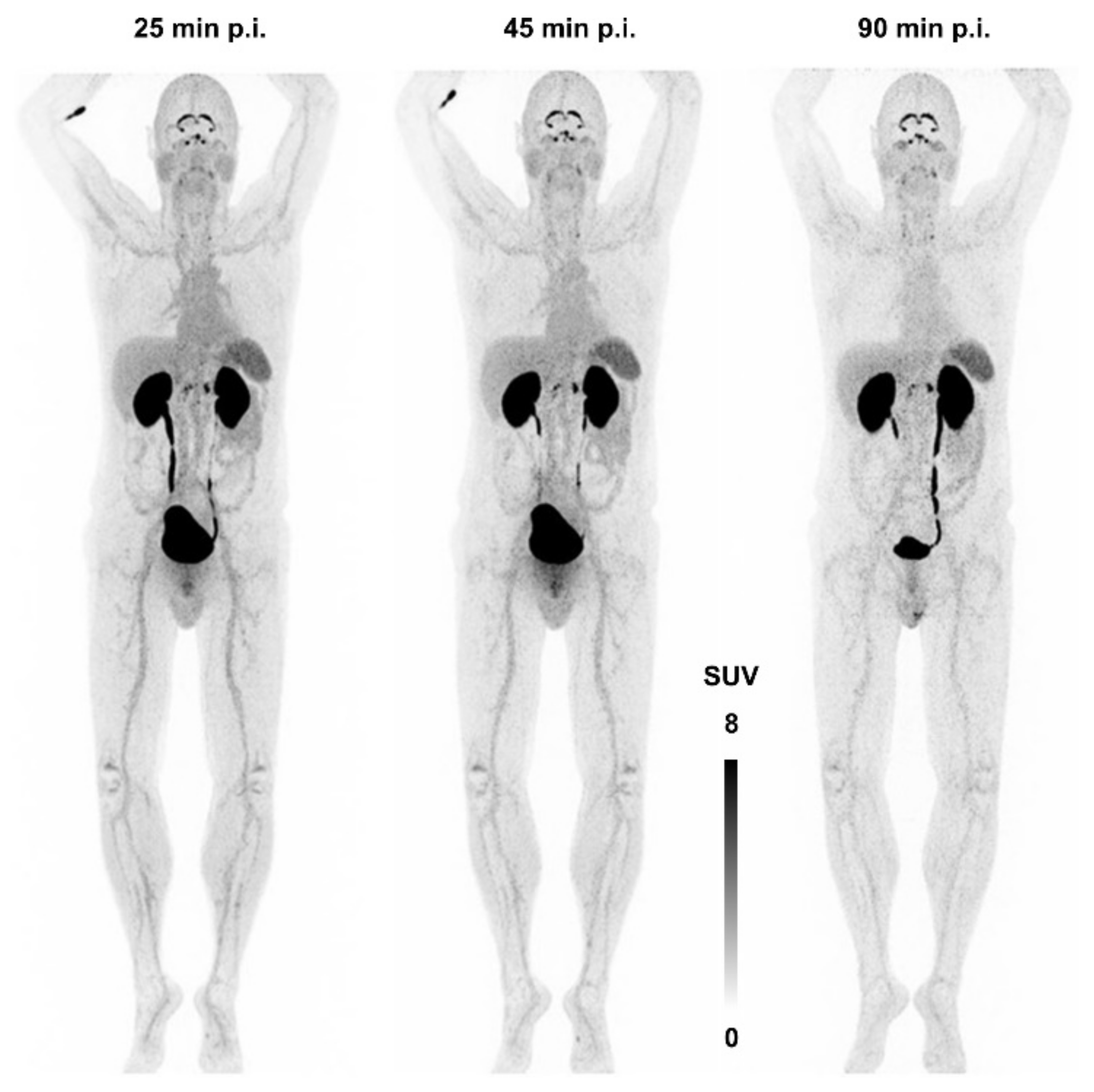 Cancers 13 05958 g007