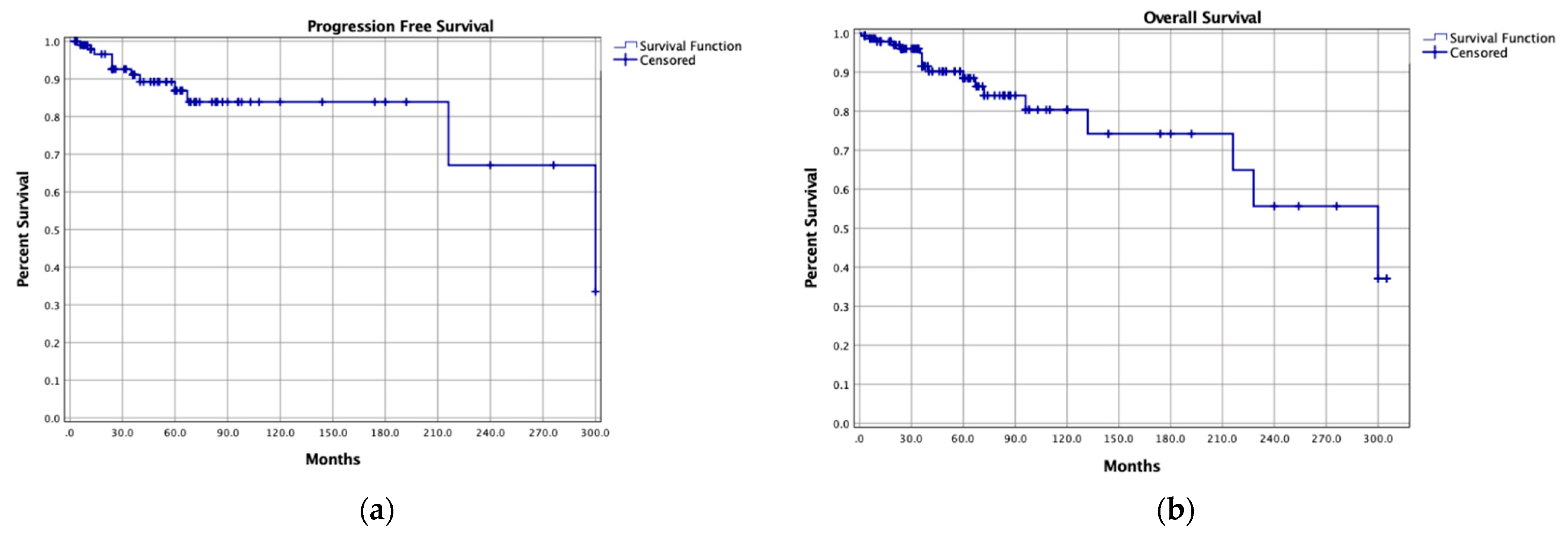 Cancers 13 05960 g002