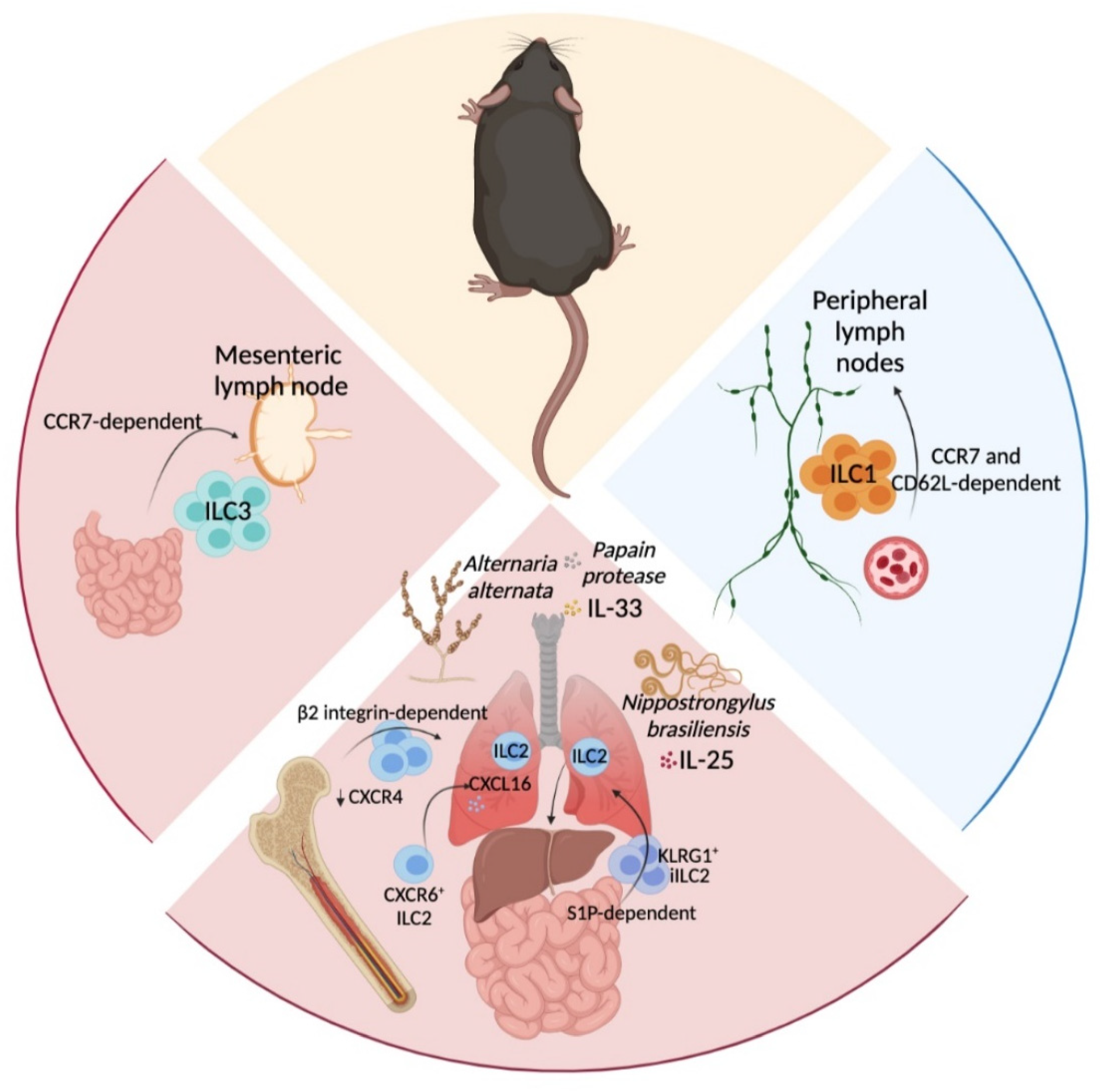 Cancers 13 05967 g001