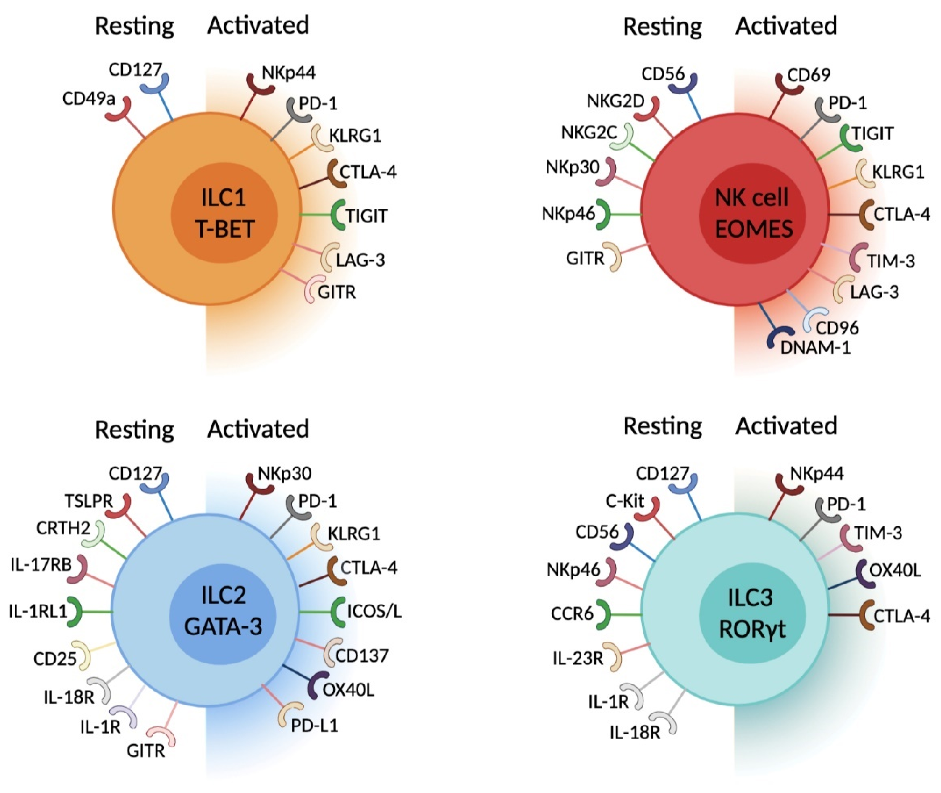 Cancers 13 05967 g002