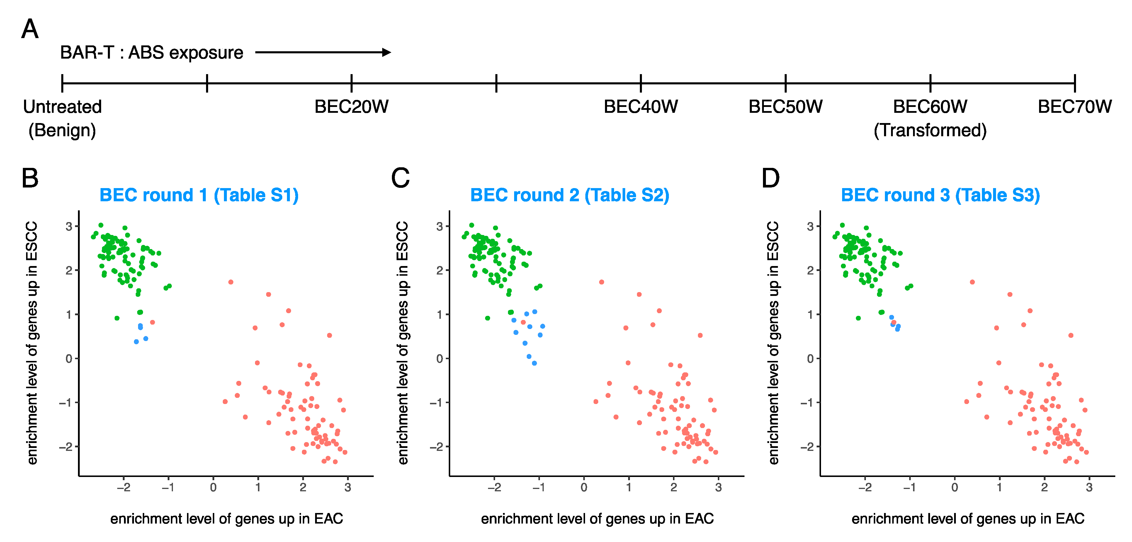 Cancers 13 05971 g005