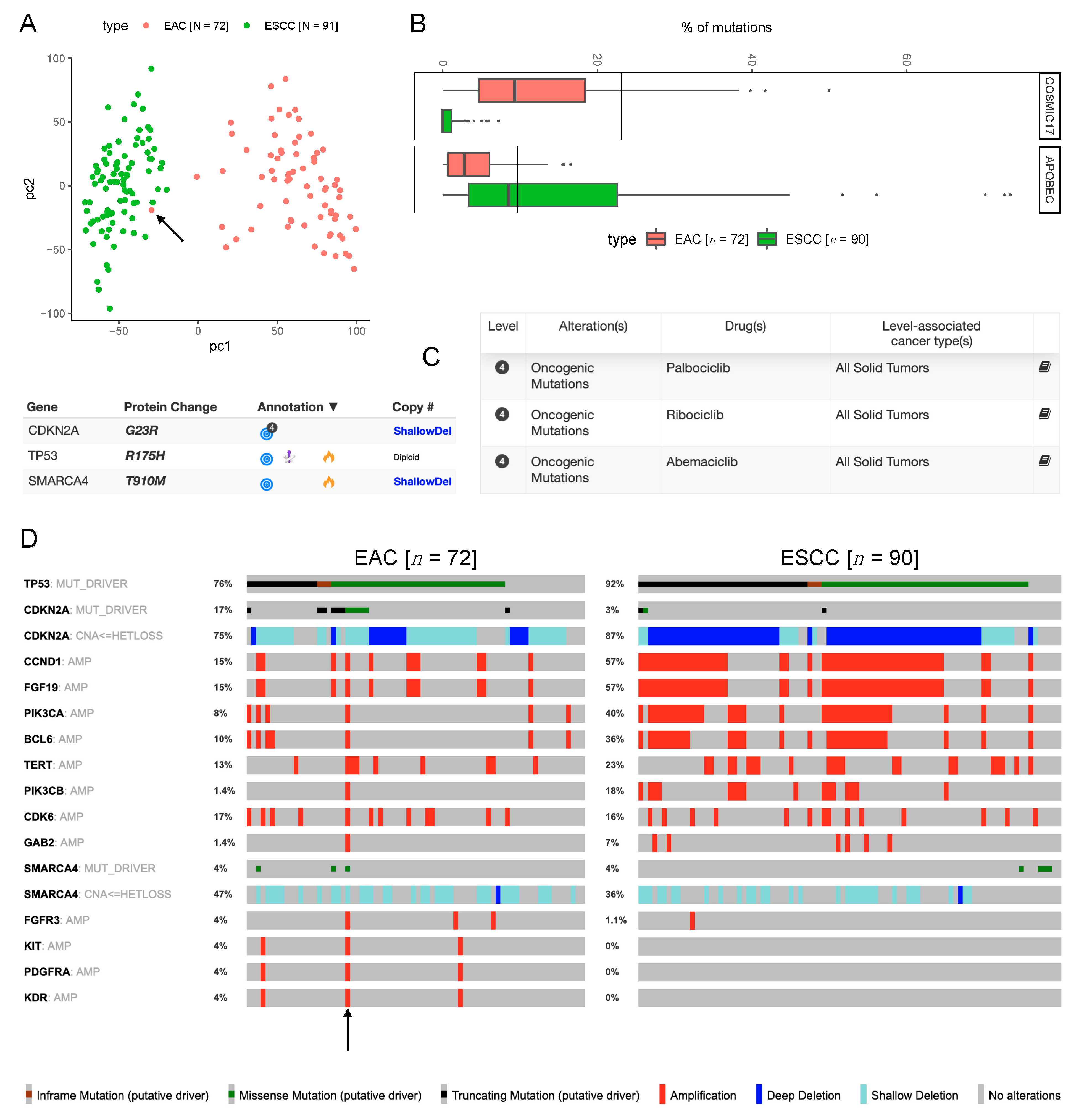 Cancers 13 05971 g007