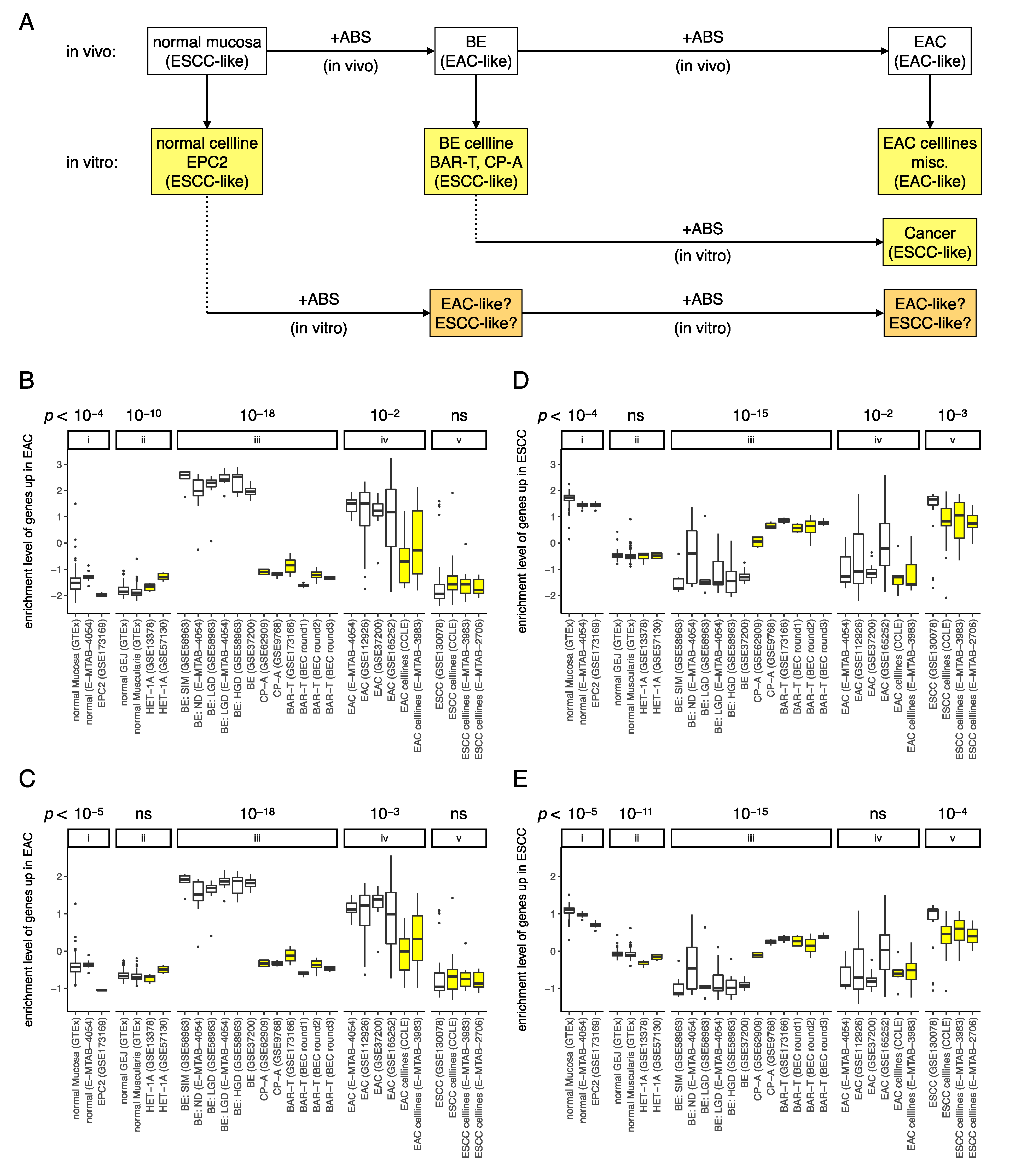 Cancers 13 05971 g008