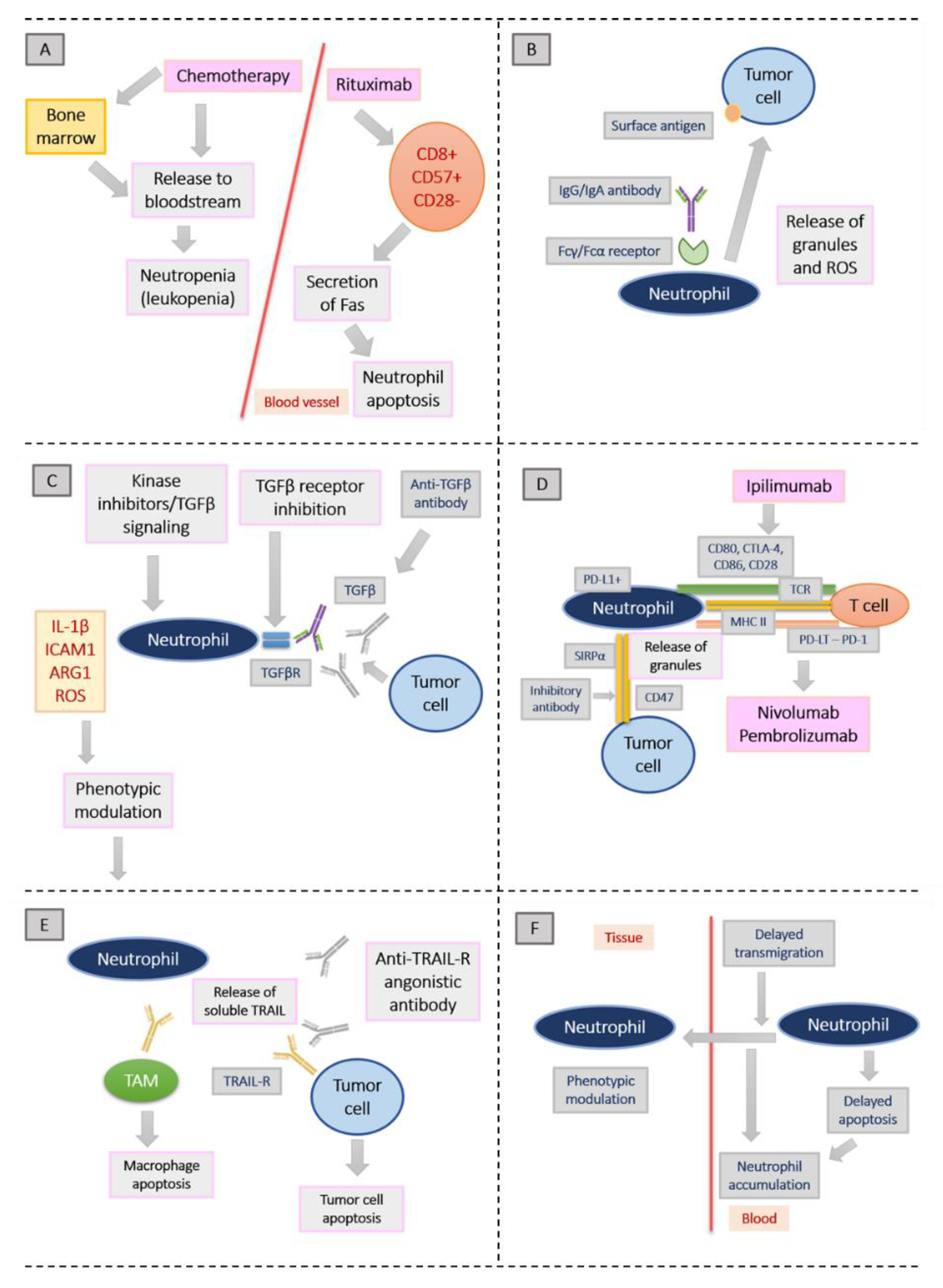 Cancers 13 05972 g001