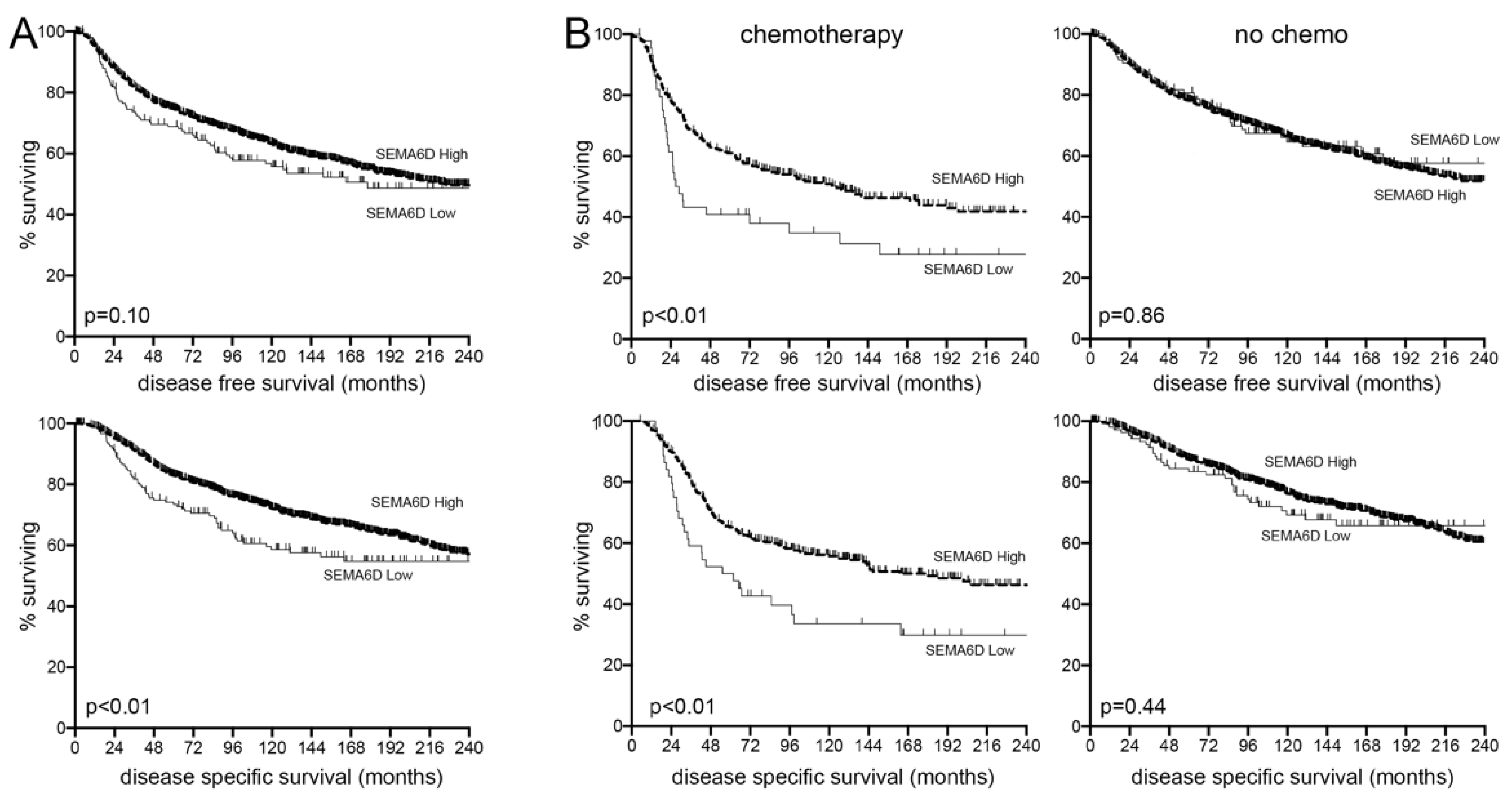 Cancers 13 05979 g004