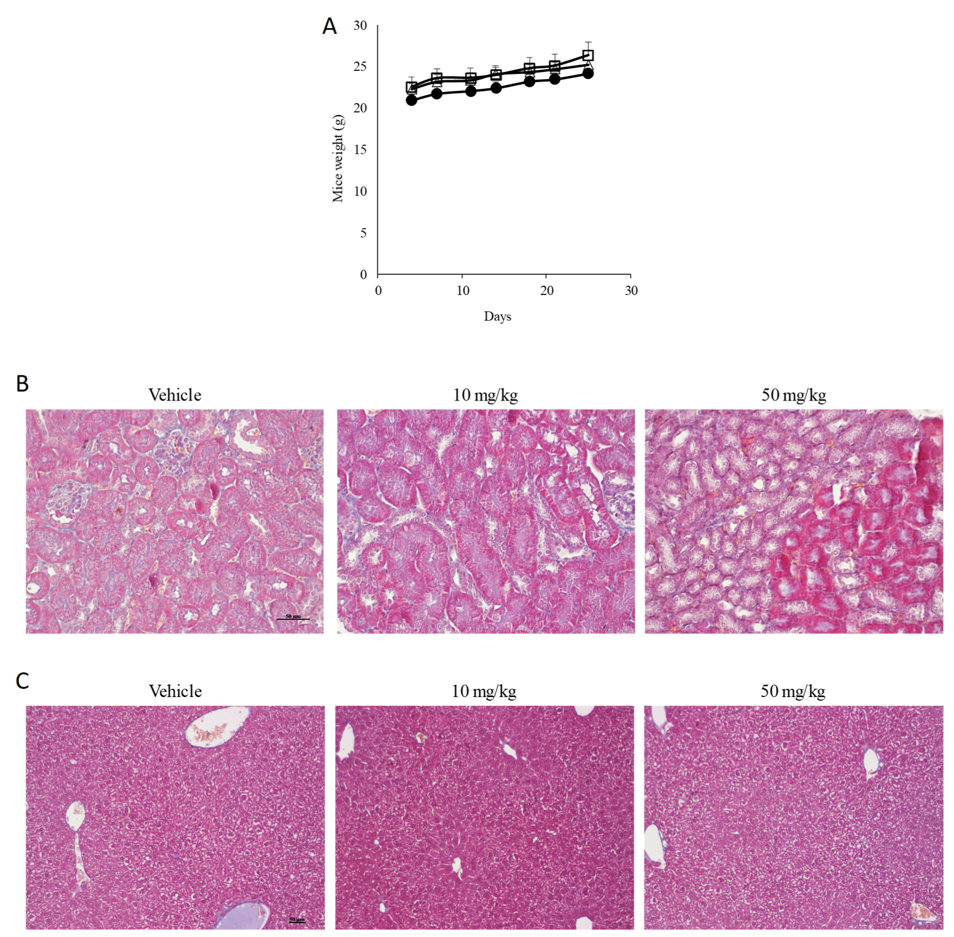 Cancers 13 05992 g008