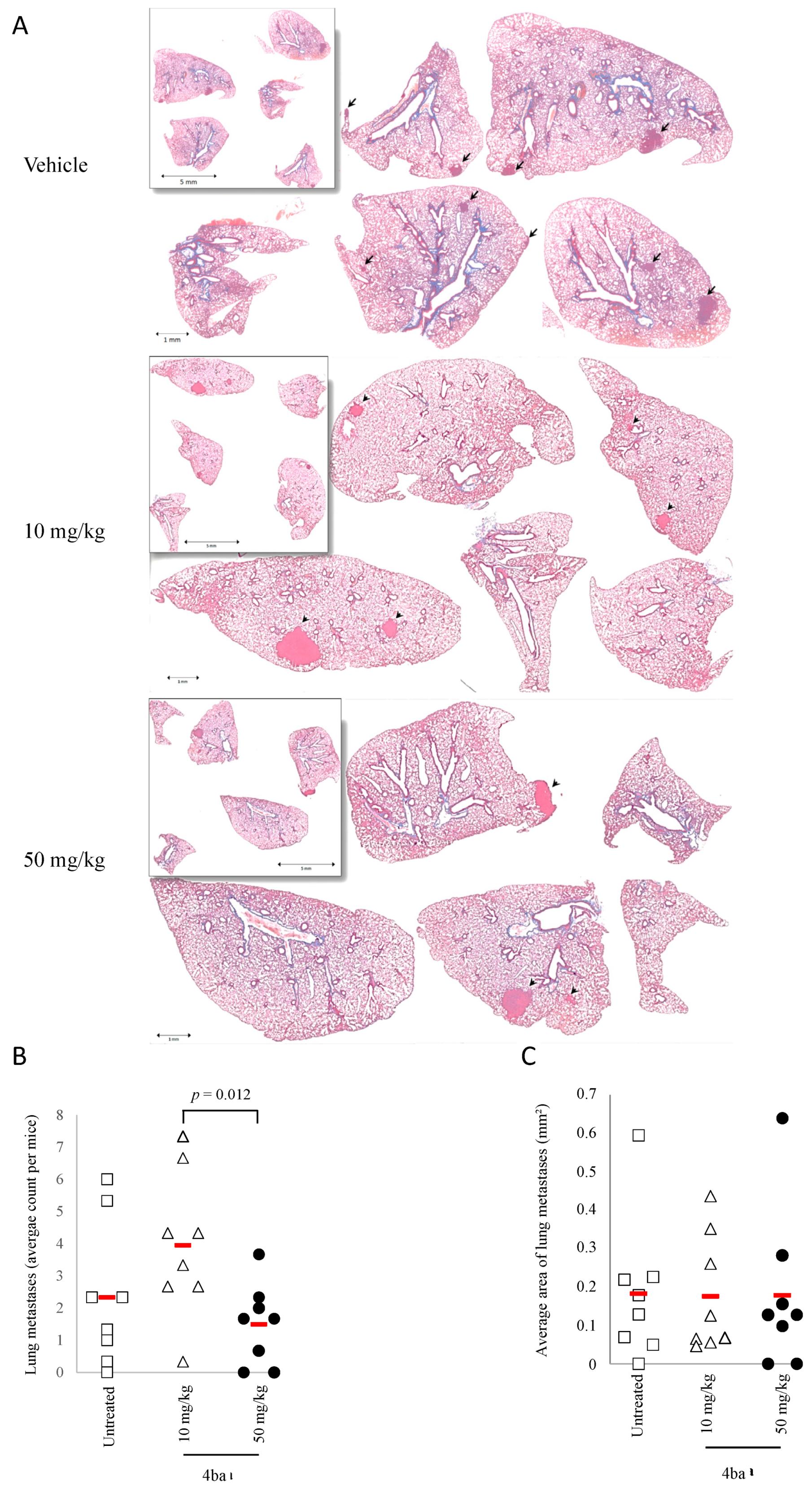 Cancers 13 05992 g010