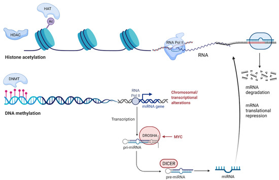 Cancers 13 05993 g001