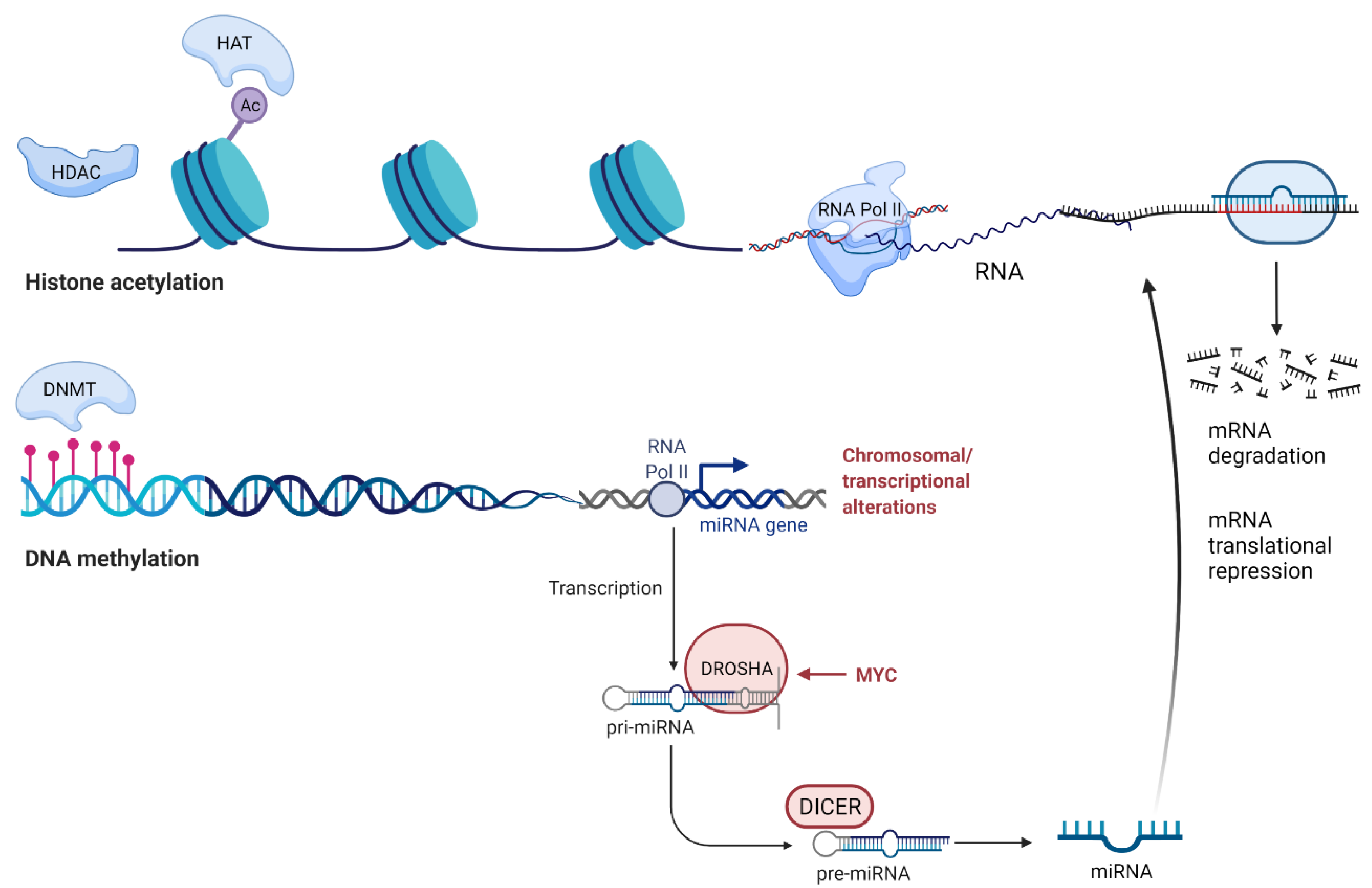 Cancers 13 05993 g001