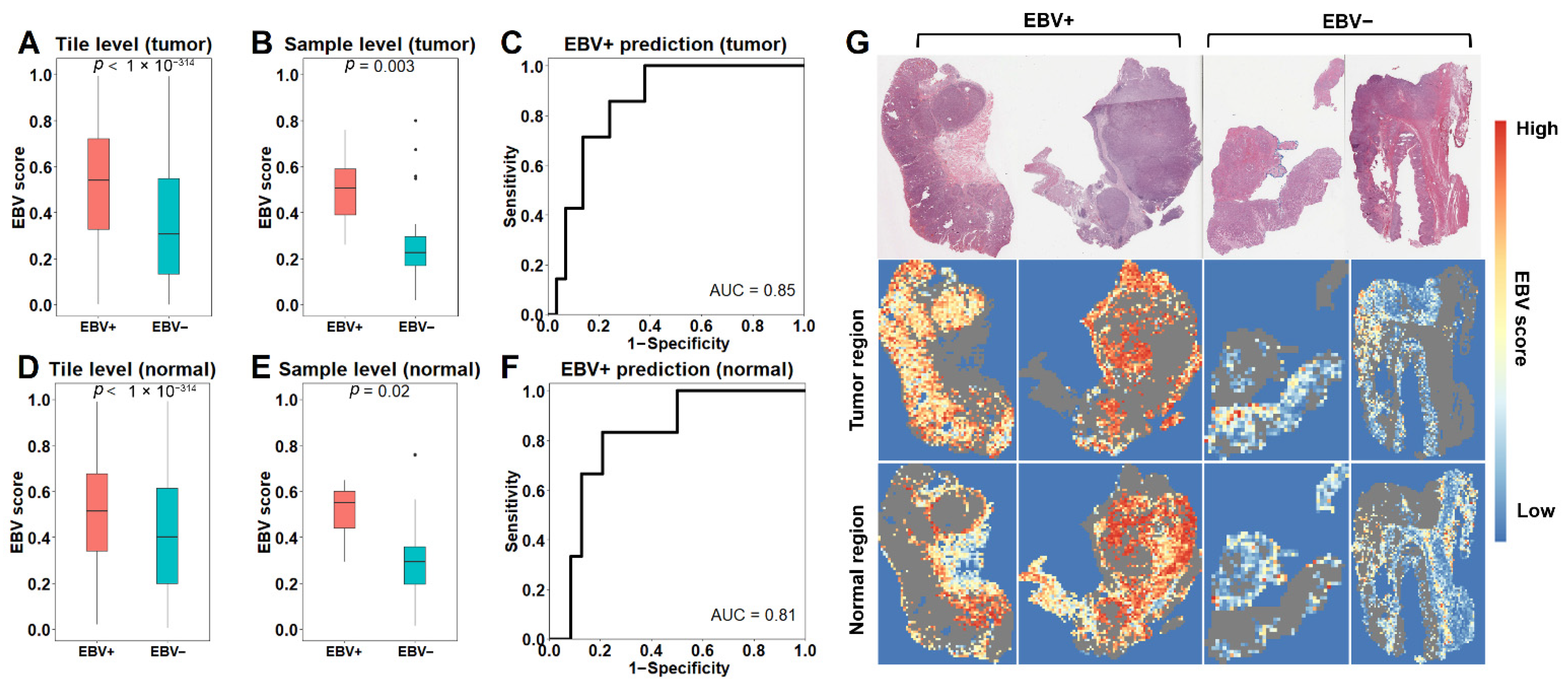 Cancers 13 06002 g002