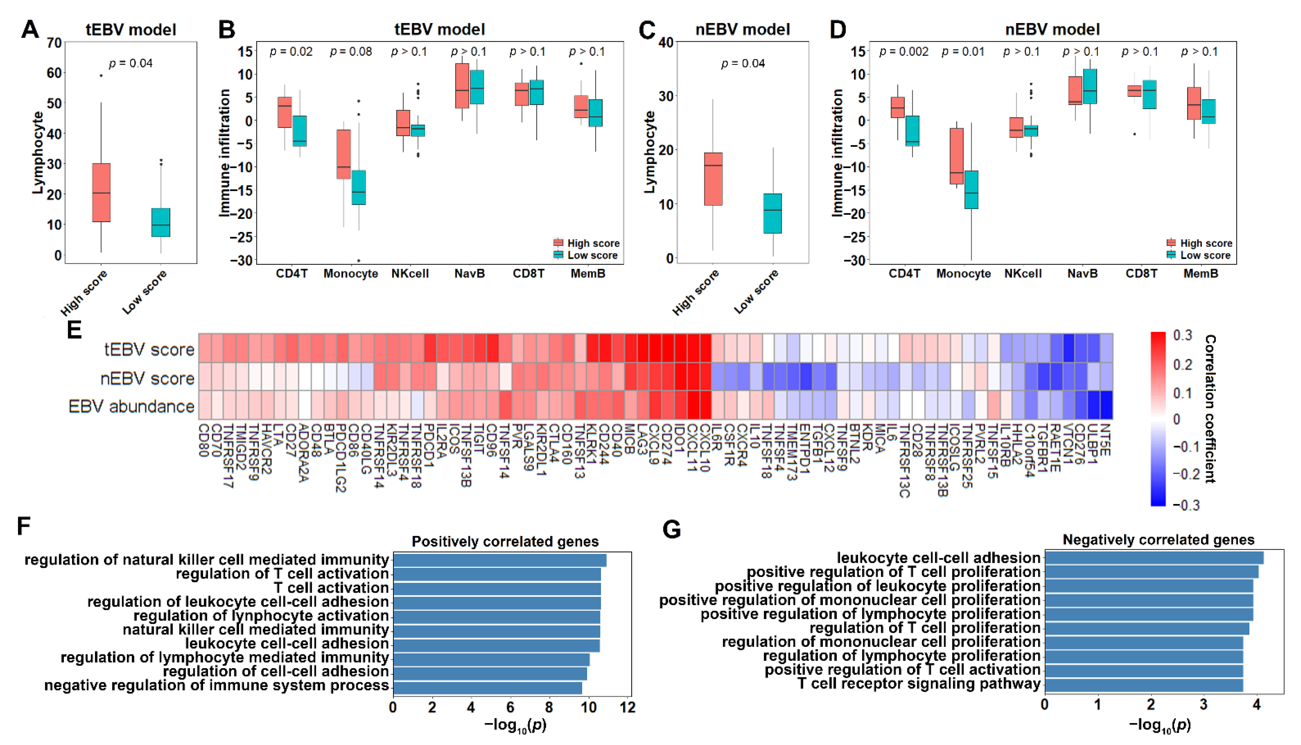 Cancers 13 06002 g004
