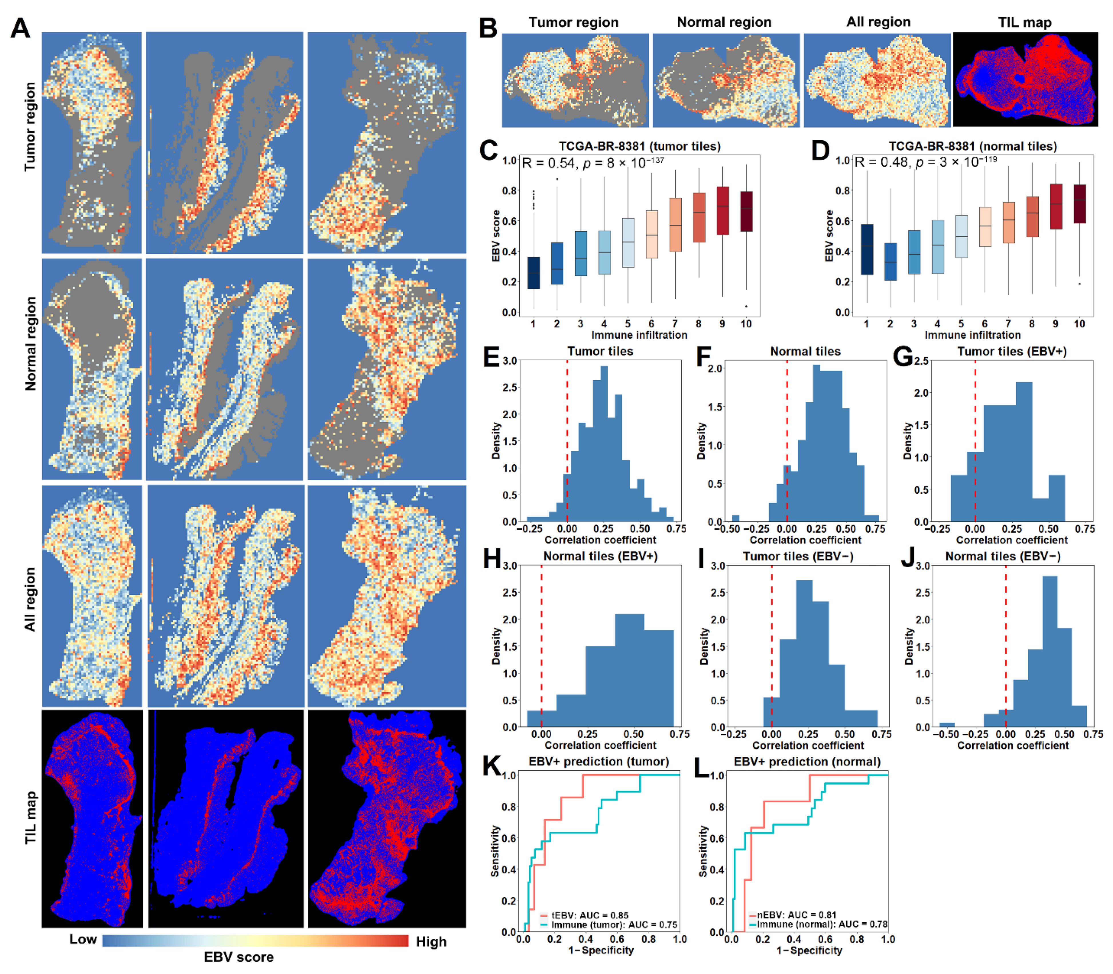 Cancers 13 06002 g005