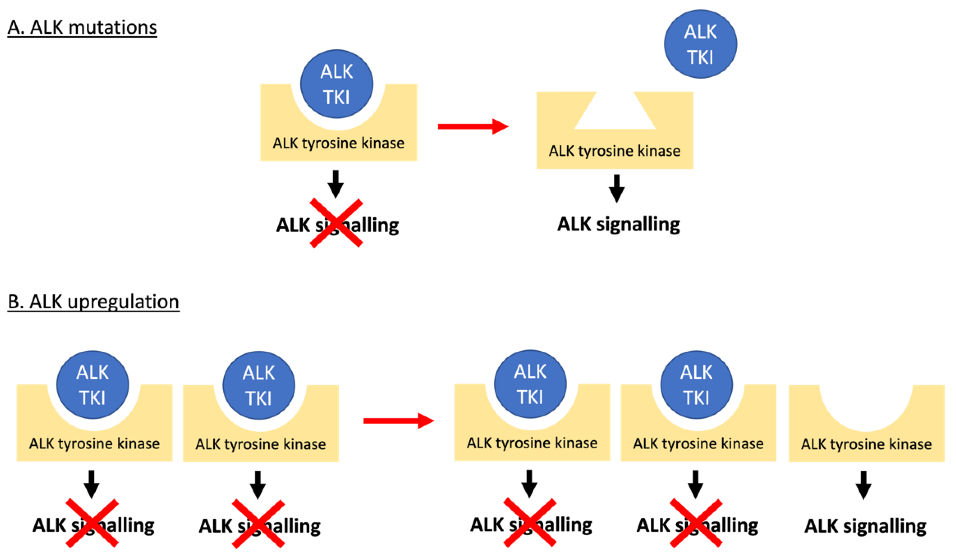 Cancers 13 06003 g004