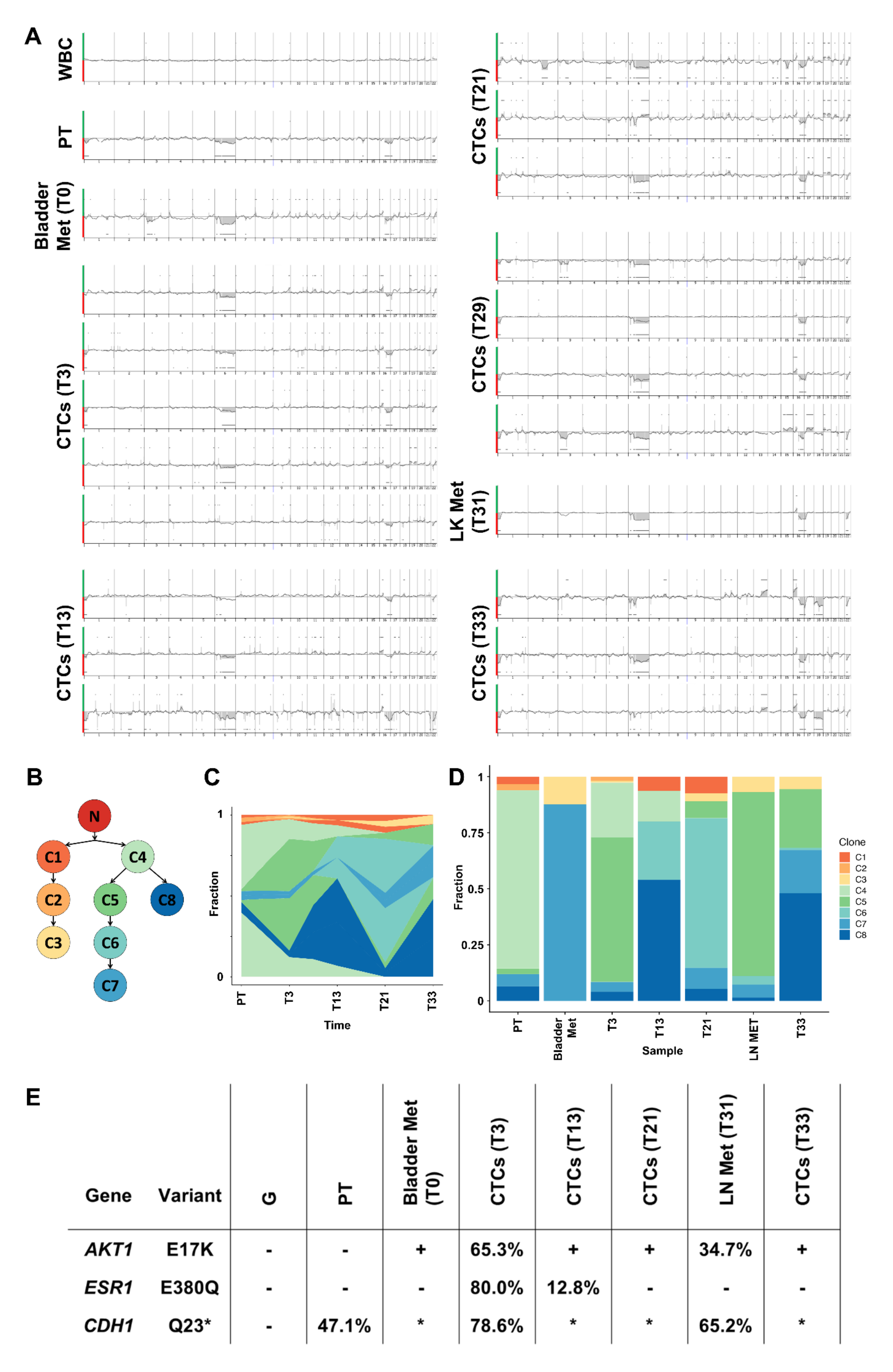Cancers 13 06004 g003