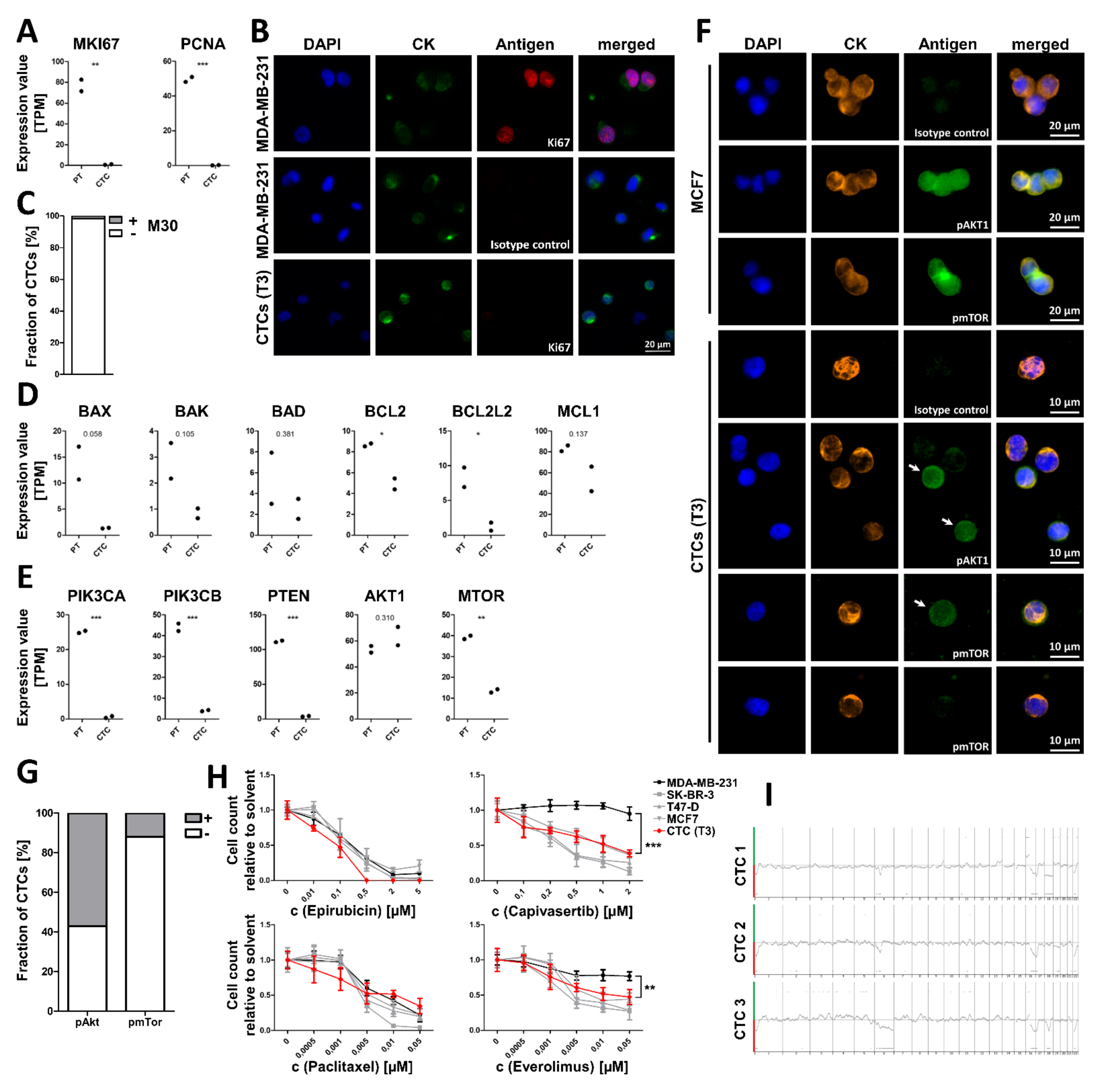 Cancers 13 06004 g005