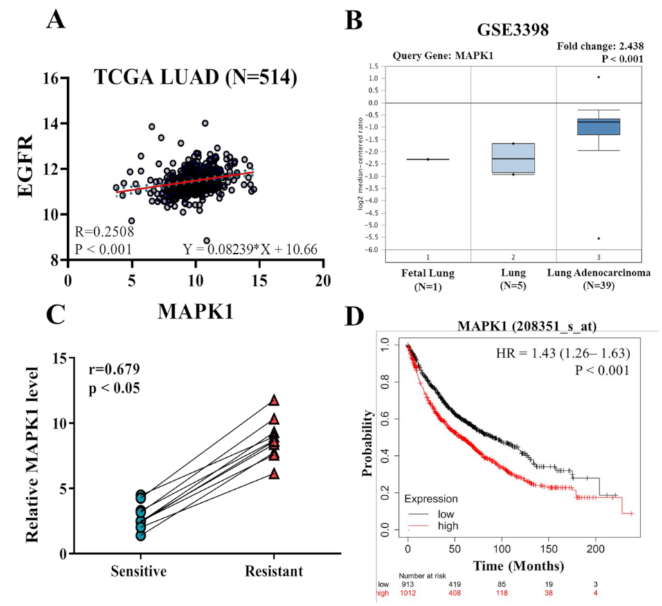 Cancers 13 06005 g001