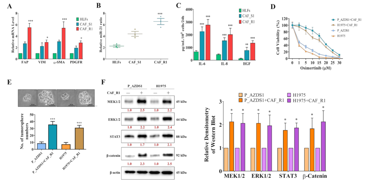 Cancers 13 06005 g002