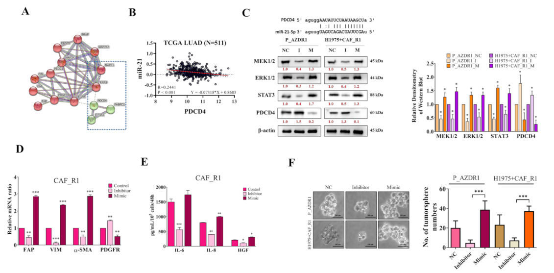 Cancers 13 06005 g004