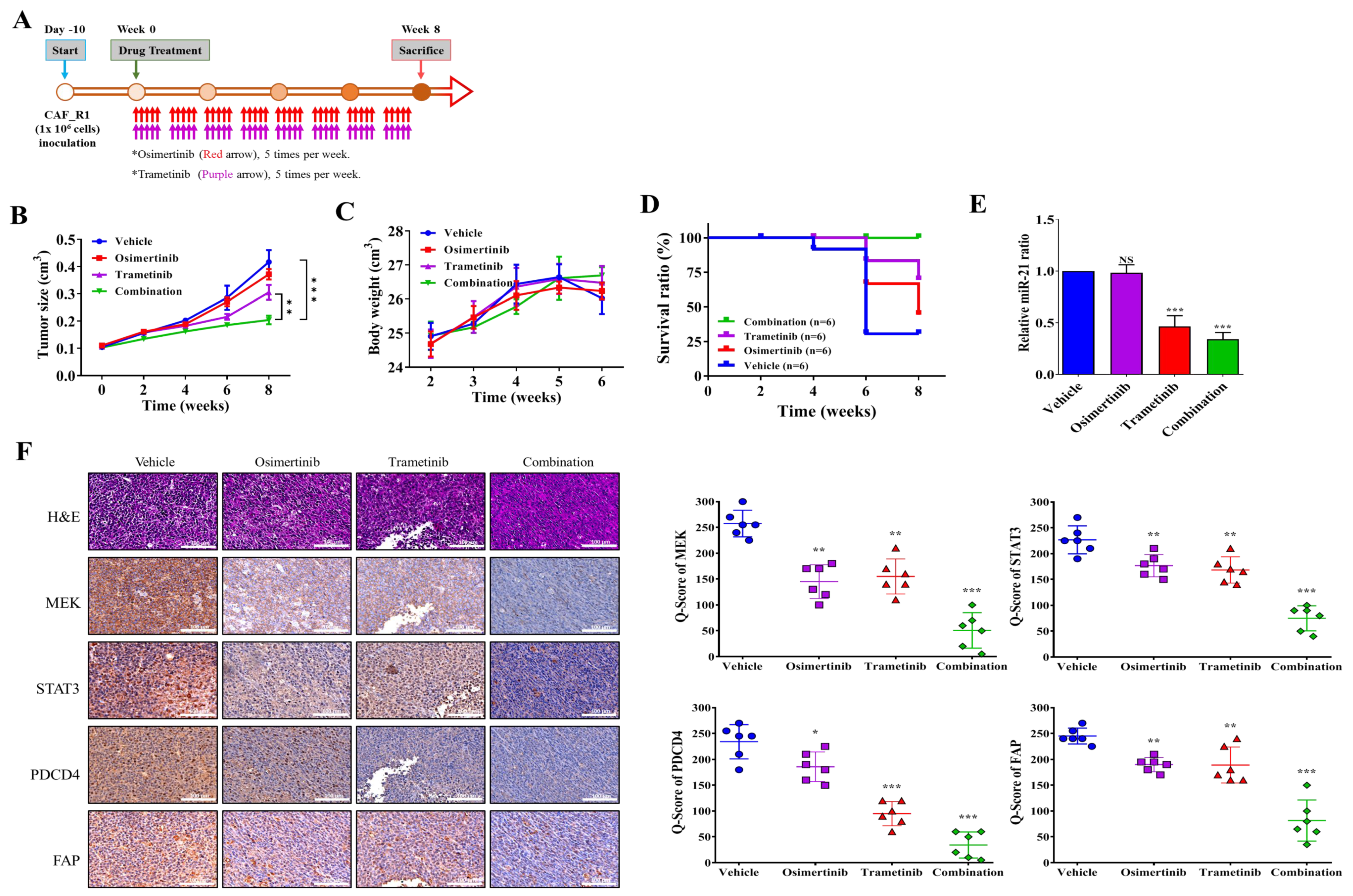 Cancers 13 06005 g005