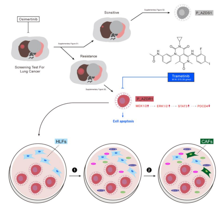 Cancers 13 06005 g006