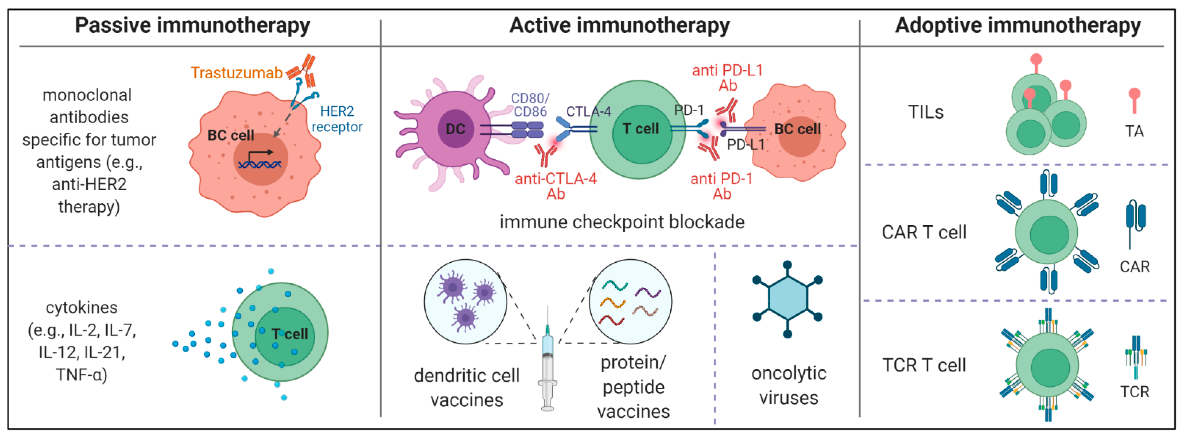 Cancers 13 06012 g002
