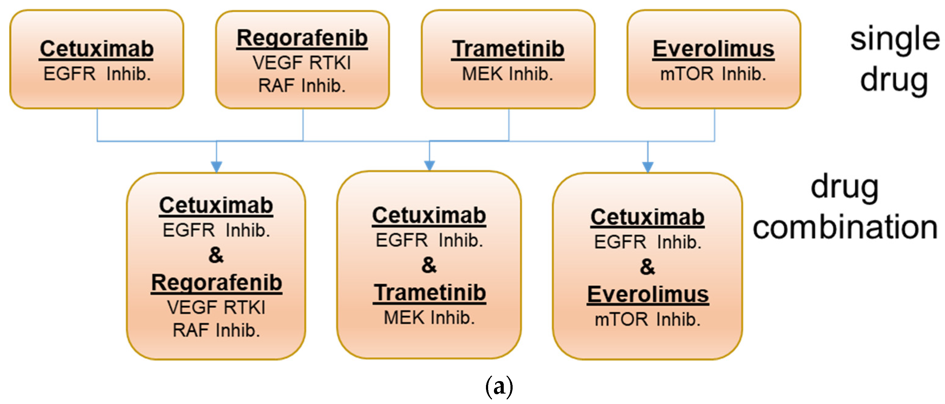 Cancers 13 06018 g001a