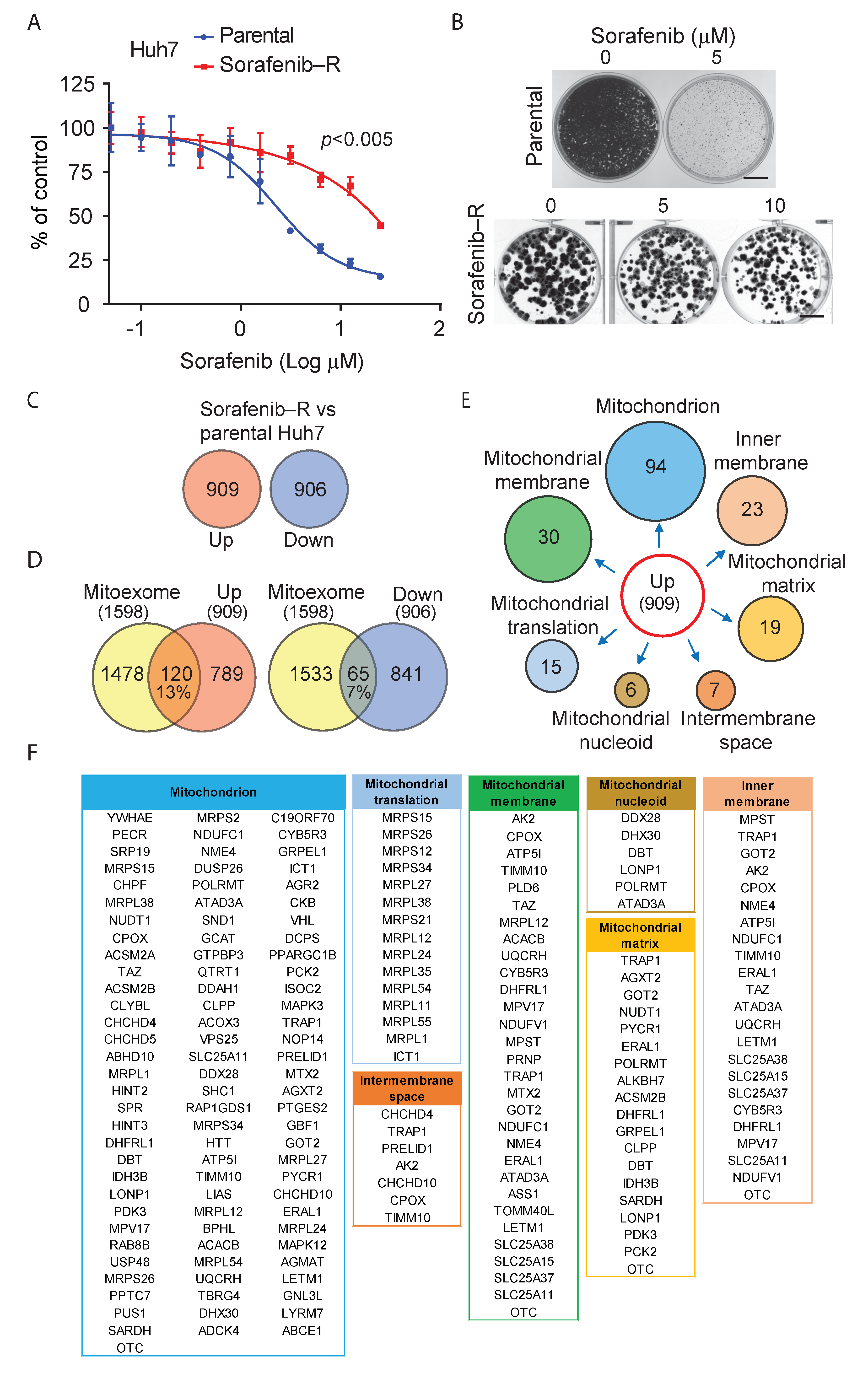 Cancers 13 06029 g001