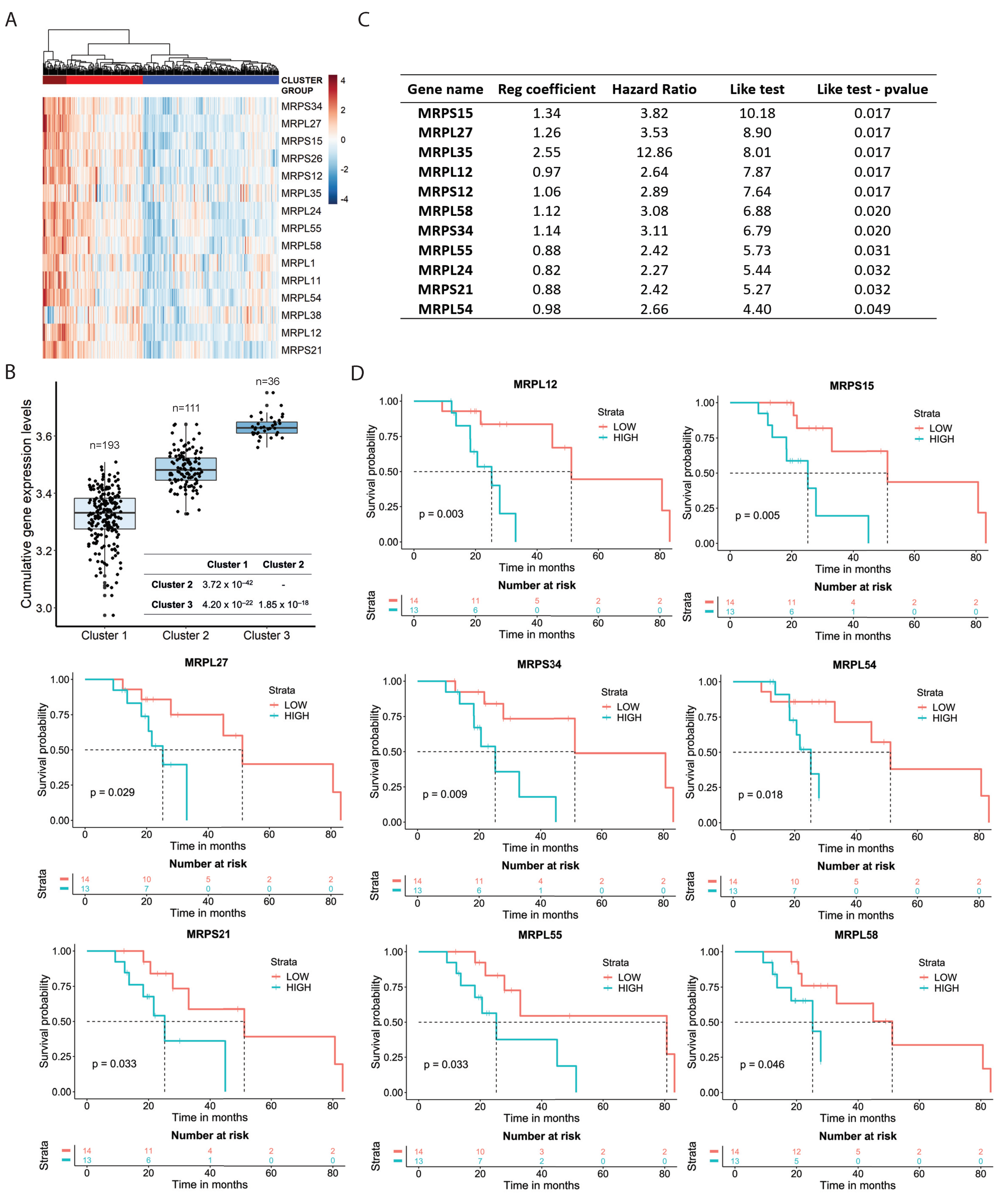 Cancers 13 06029 g002