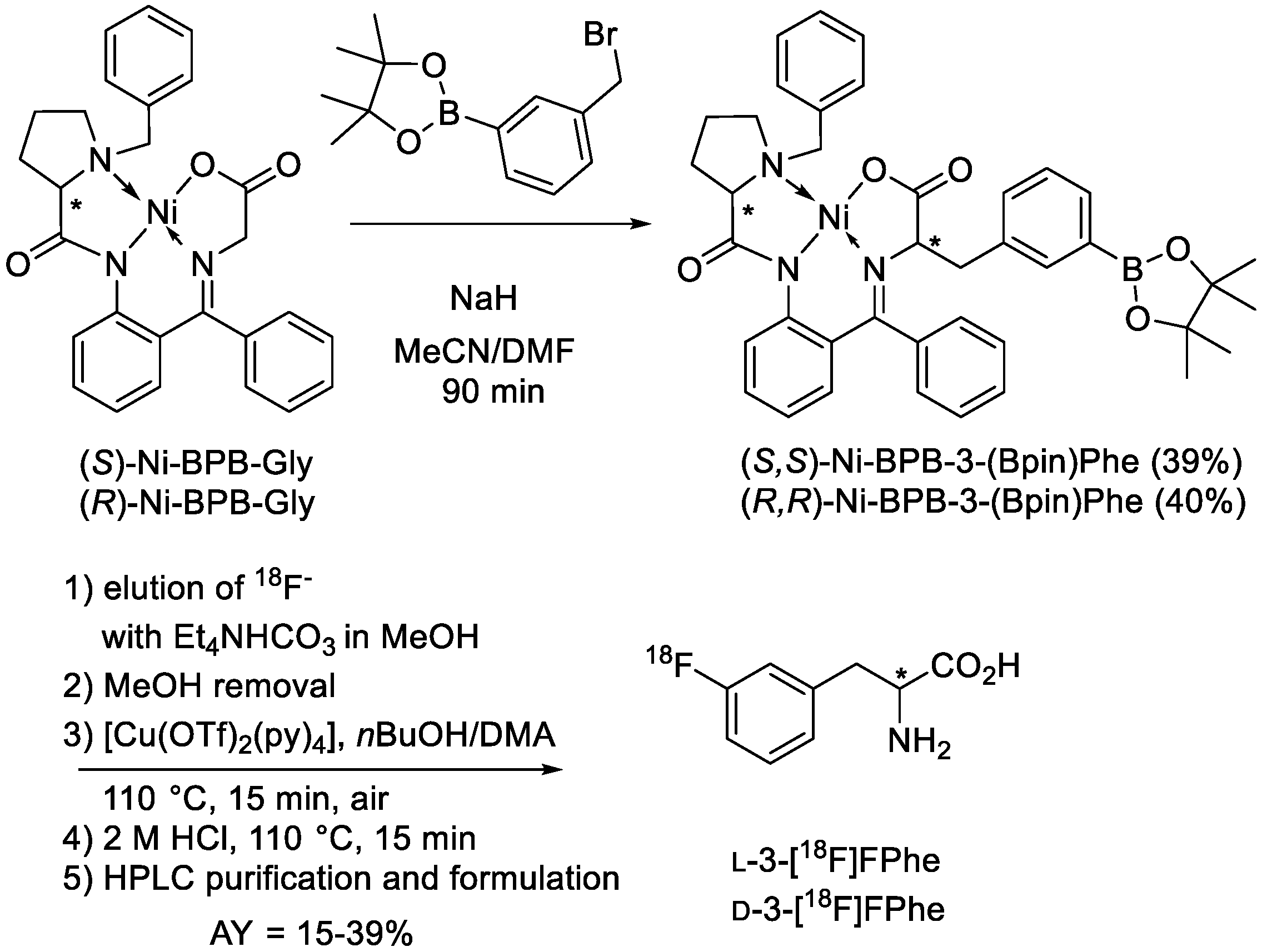 Cancers 13 06030 g001