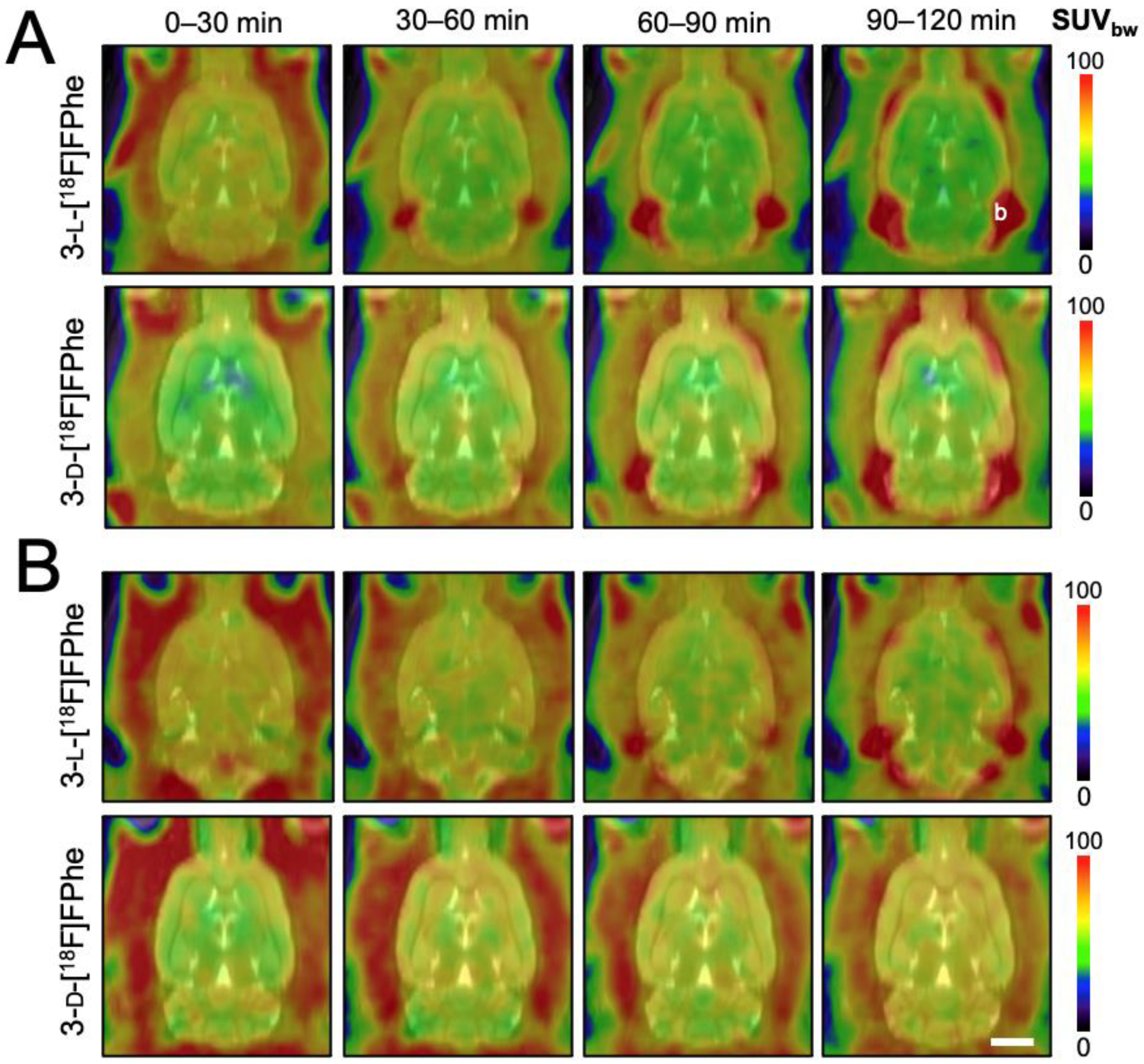 Cancers 13 06030 g006